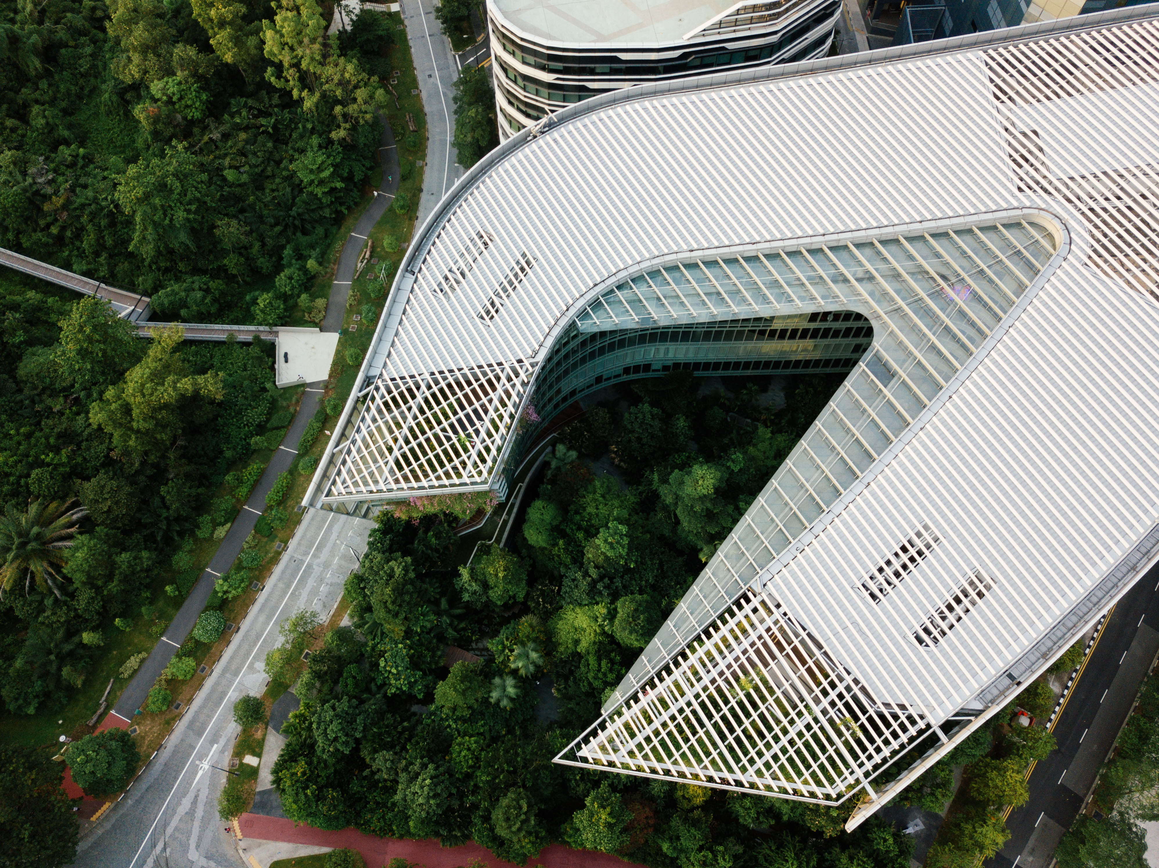 high angle view, nature, concrete, rooftop, travel, forest, glass - material, building exterior, daytime, 4K, aerial view, s, growth, connection, drone view, HD Wallpaper
