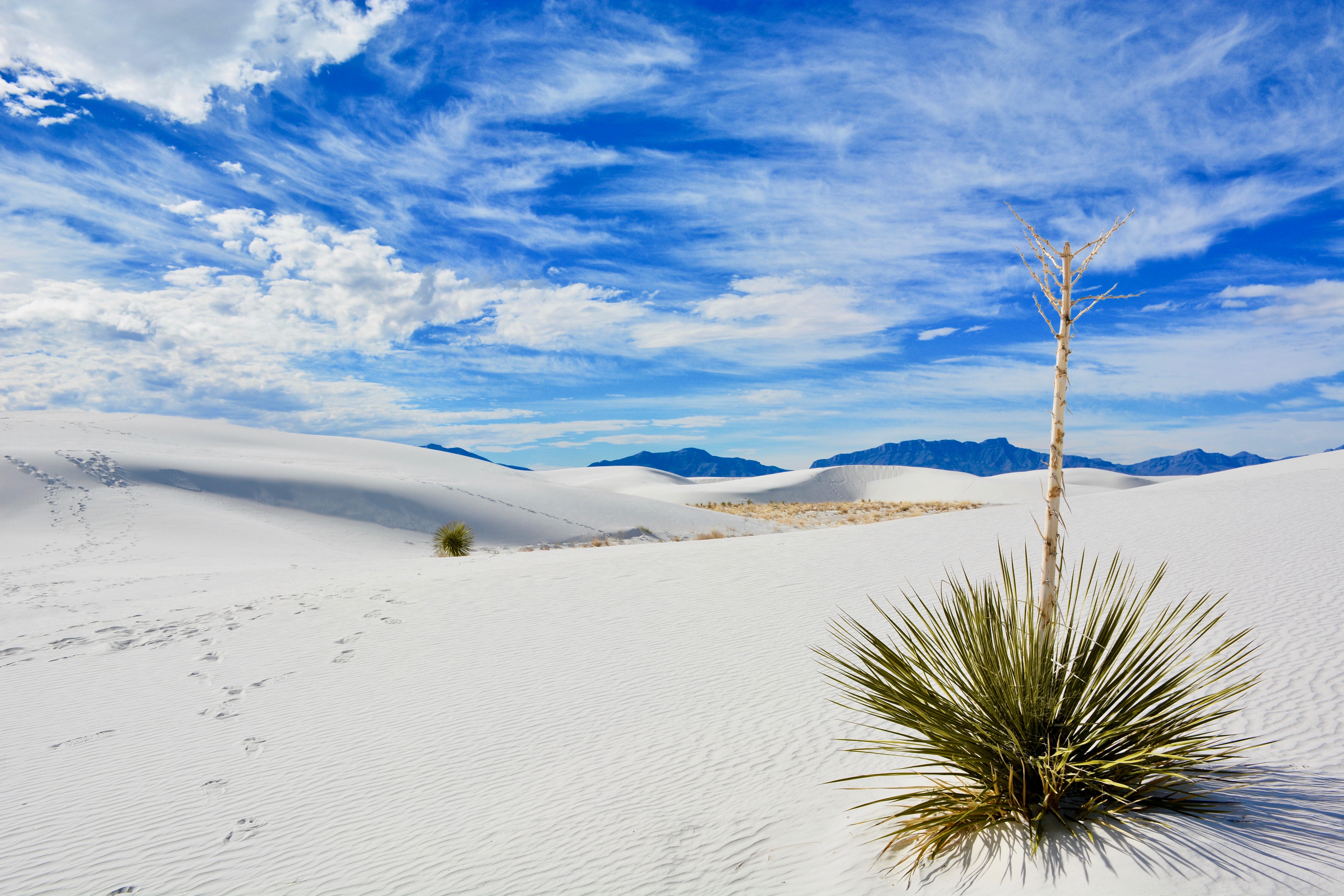 desert, landscape, sand dune, no people, climate, environment, outdoors, dune, land, non-urban scene, nature, green, cloud - sky, scenics - nature, 5K, HD Wallpaper