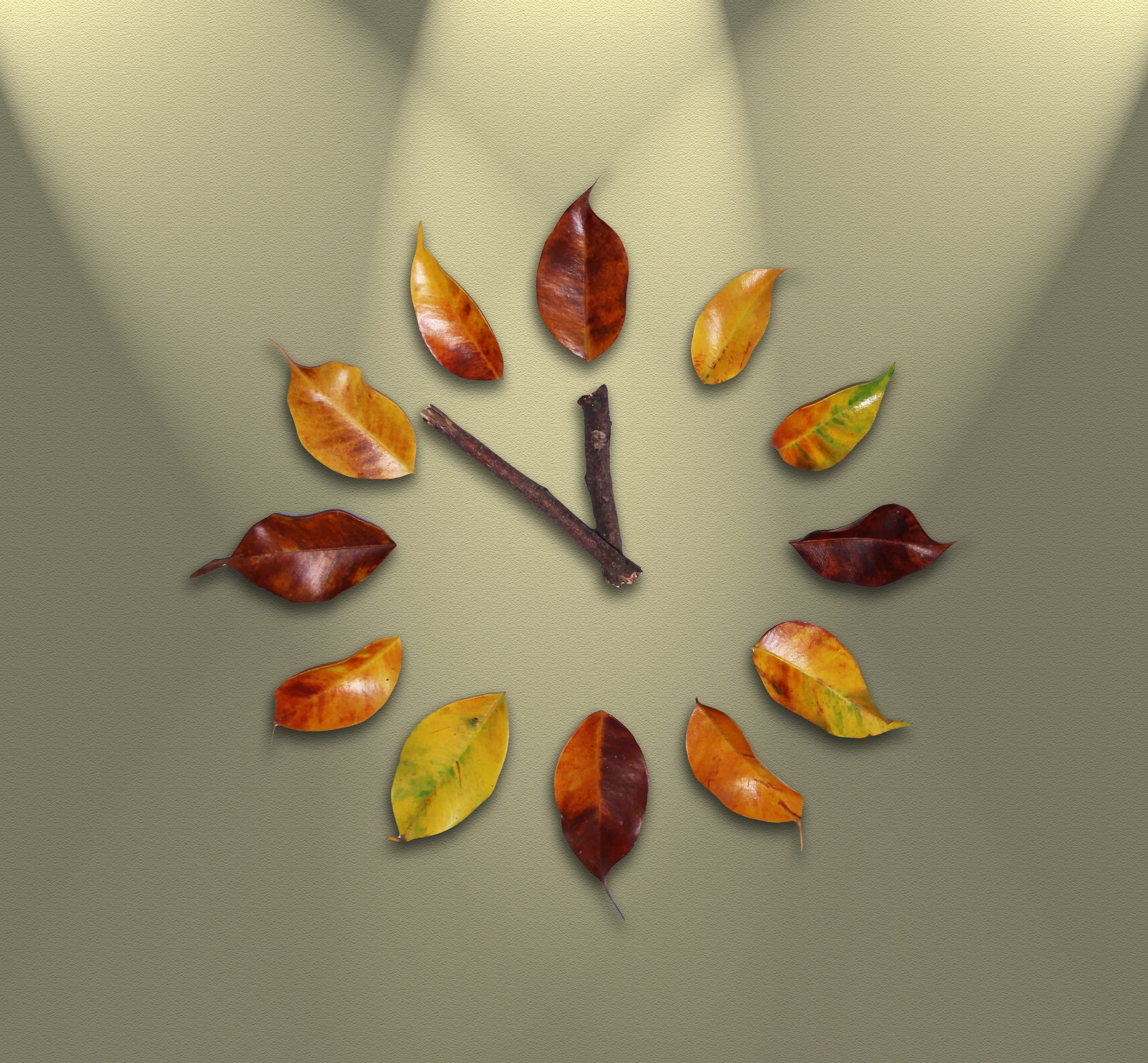 medium group of objects, leaf, close-up, schedule, time passing, minutes, wall, orange, fruit, wellbeing, group of objects, food, brown, creativity, indoors, HD Wallpaper