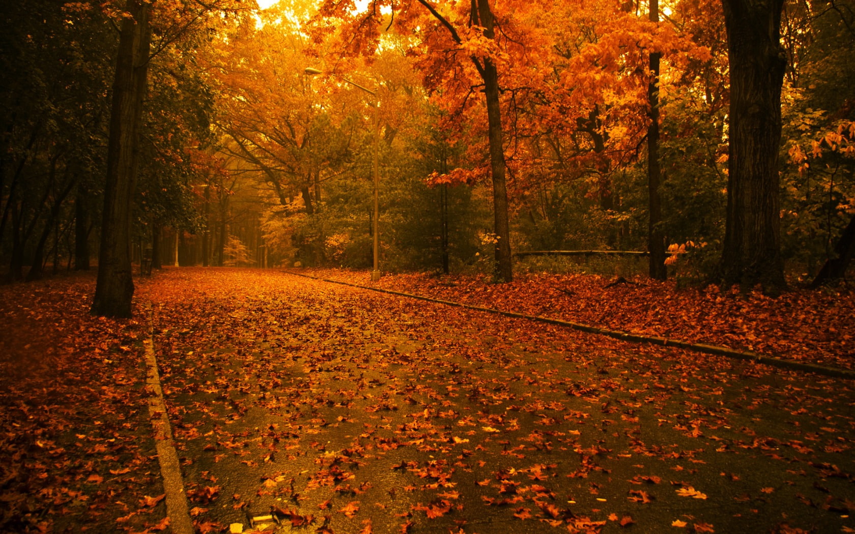 autumn, fantasy, hd, abstract, parks, art, x, 720P, leaves, HD Wallpaper
