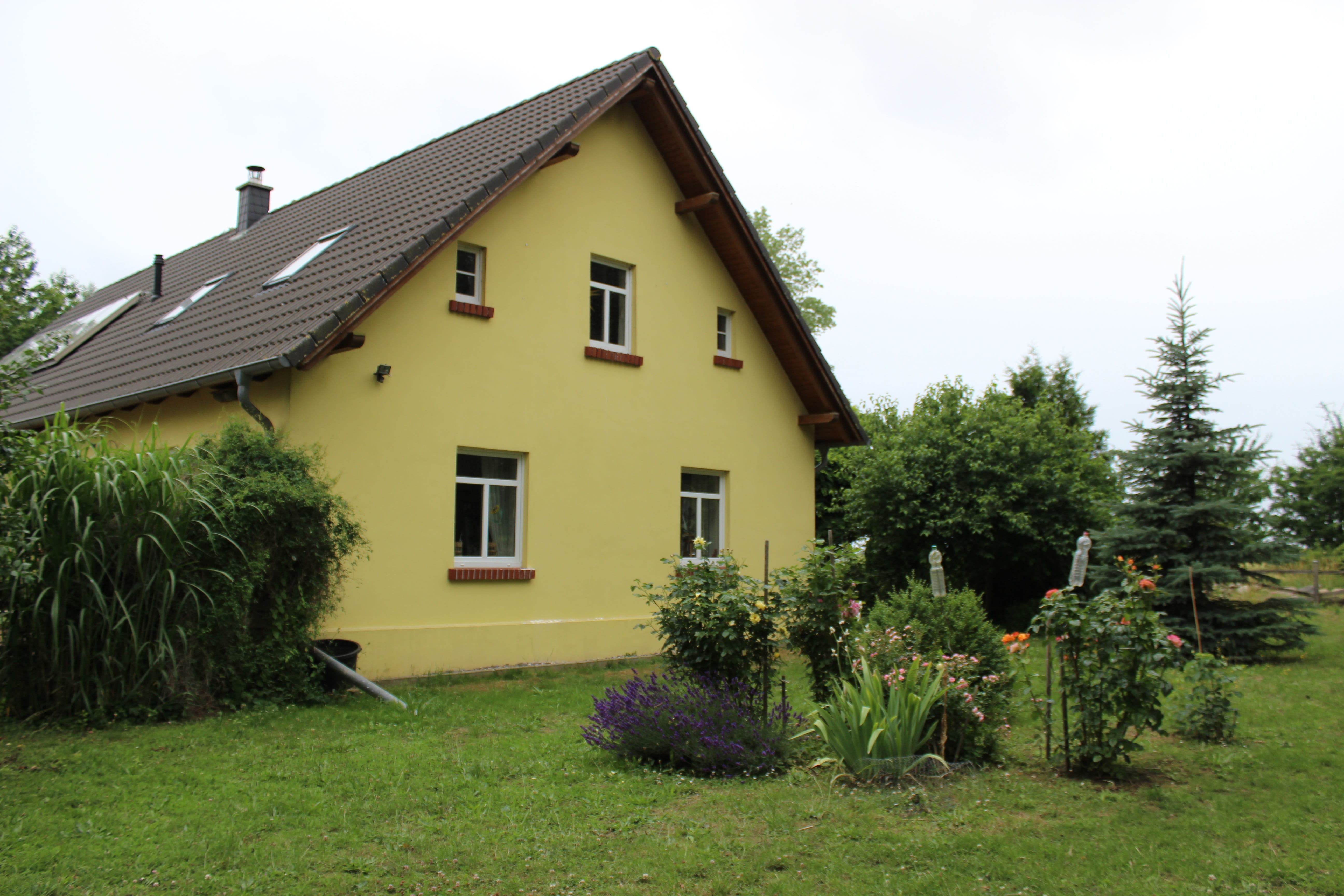exterior, green color, single family home, yellow, building exterior, flower, outdoors, no people, plant, house, window, 5K, growth, sky, grass, residential district, HD Wallpaper