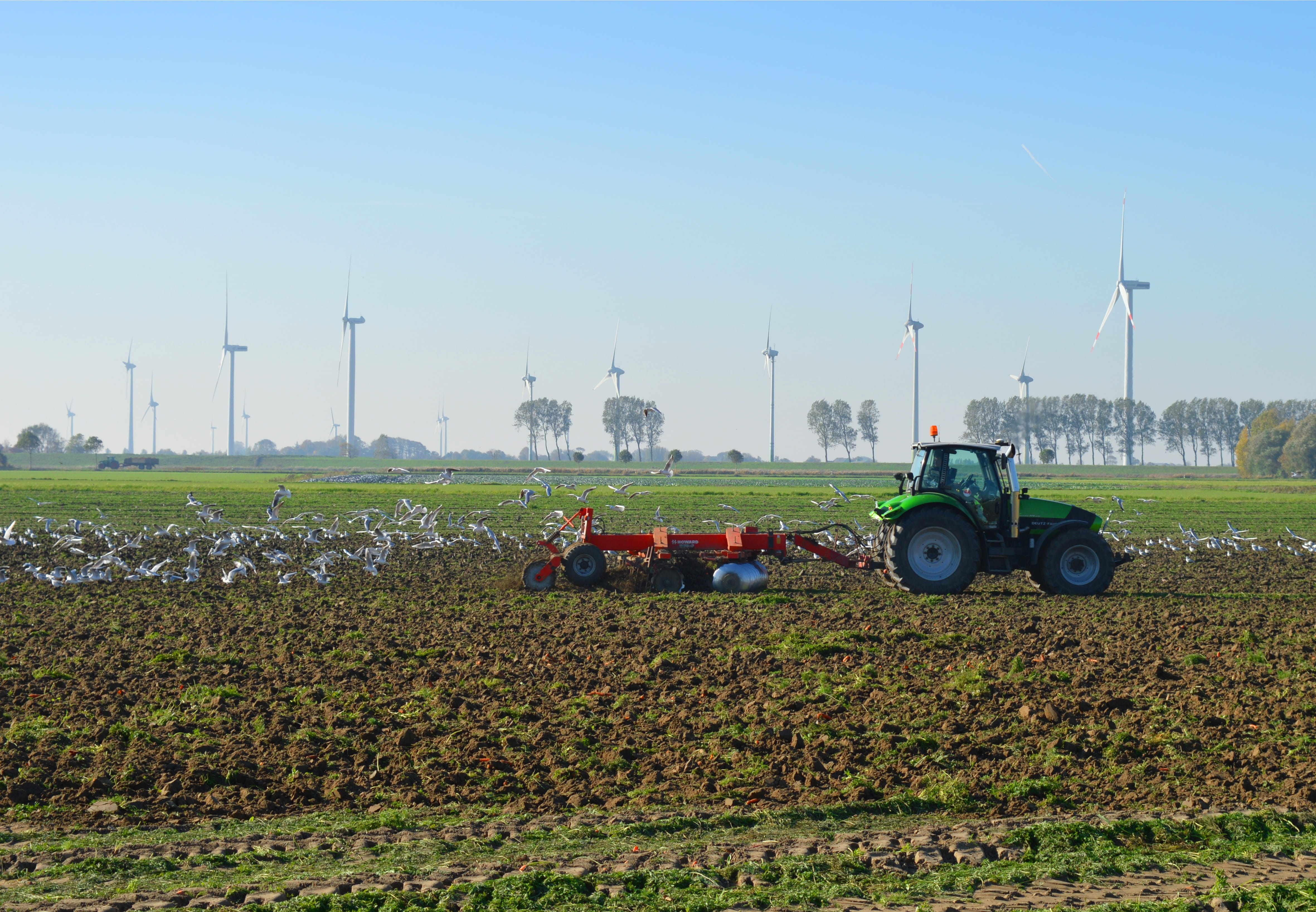windmills, land, 4K, environment, plantation, no people, day, gulls, mode of transportation, field, transportation, land vehicle, rural scene, tractors, HD Wallpaper
