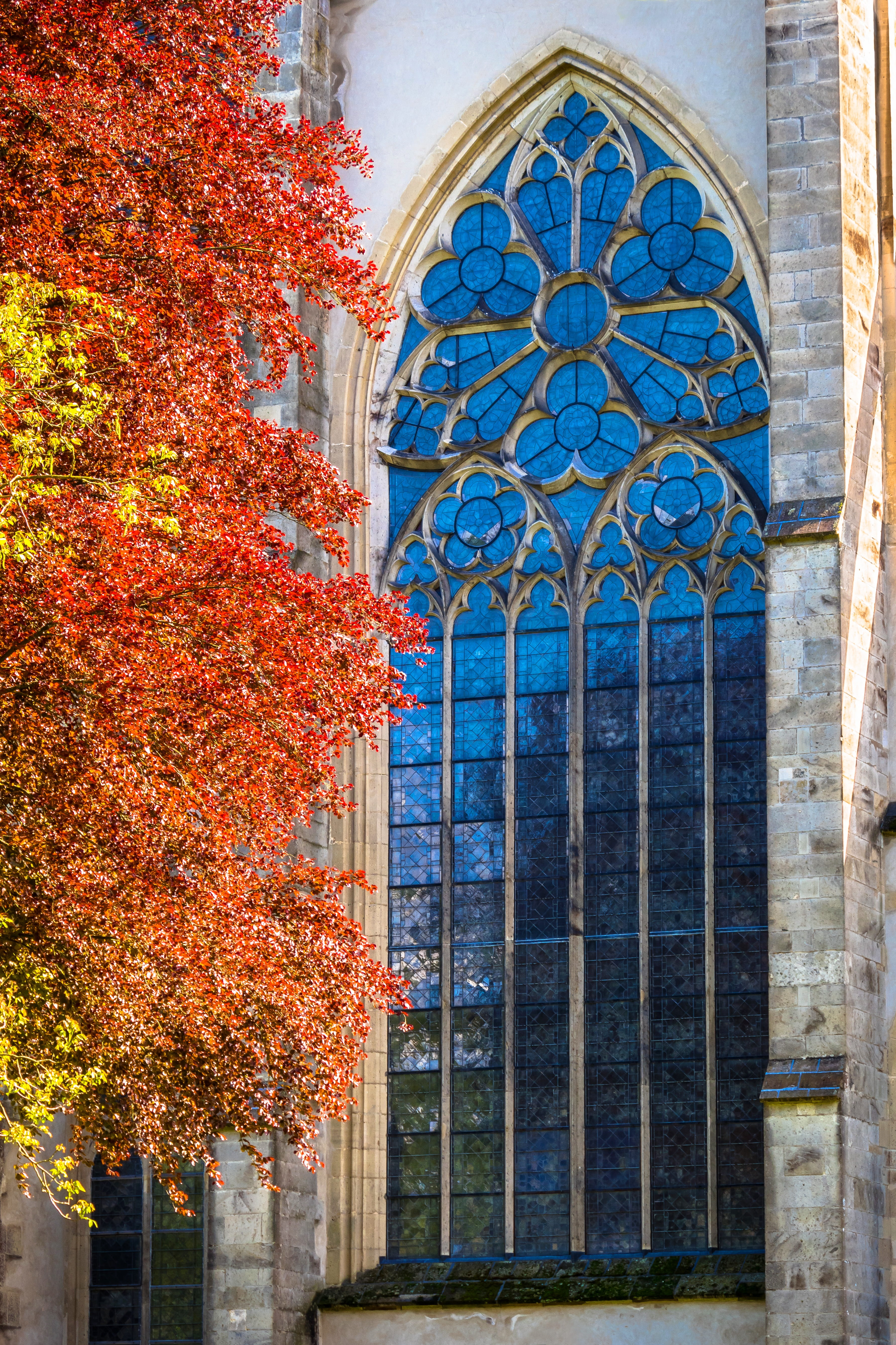 no people, nature, middle ages, old, building exterior, change, abbey, germany, places of interest, historically, glass, window, tree, blue, building, glass - material, Phone HD Wallpaper