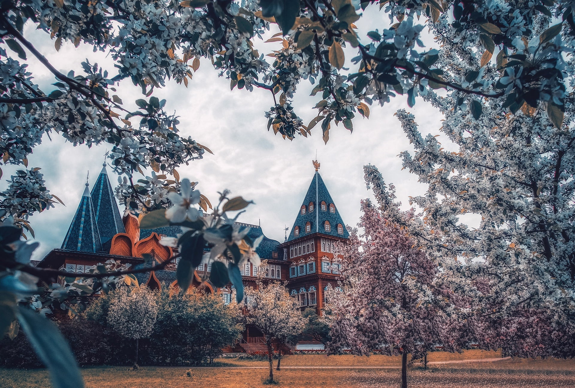 1080P, Palace, Kolomenskoye, flowering, flowers, branches, trees, Moscow, Kolomna Palace, Russia, spring, Park-HOMESTEAD Kolomenskoe, The Palace of Tsar Alexei Mikhailovich, HD Wallpaper