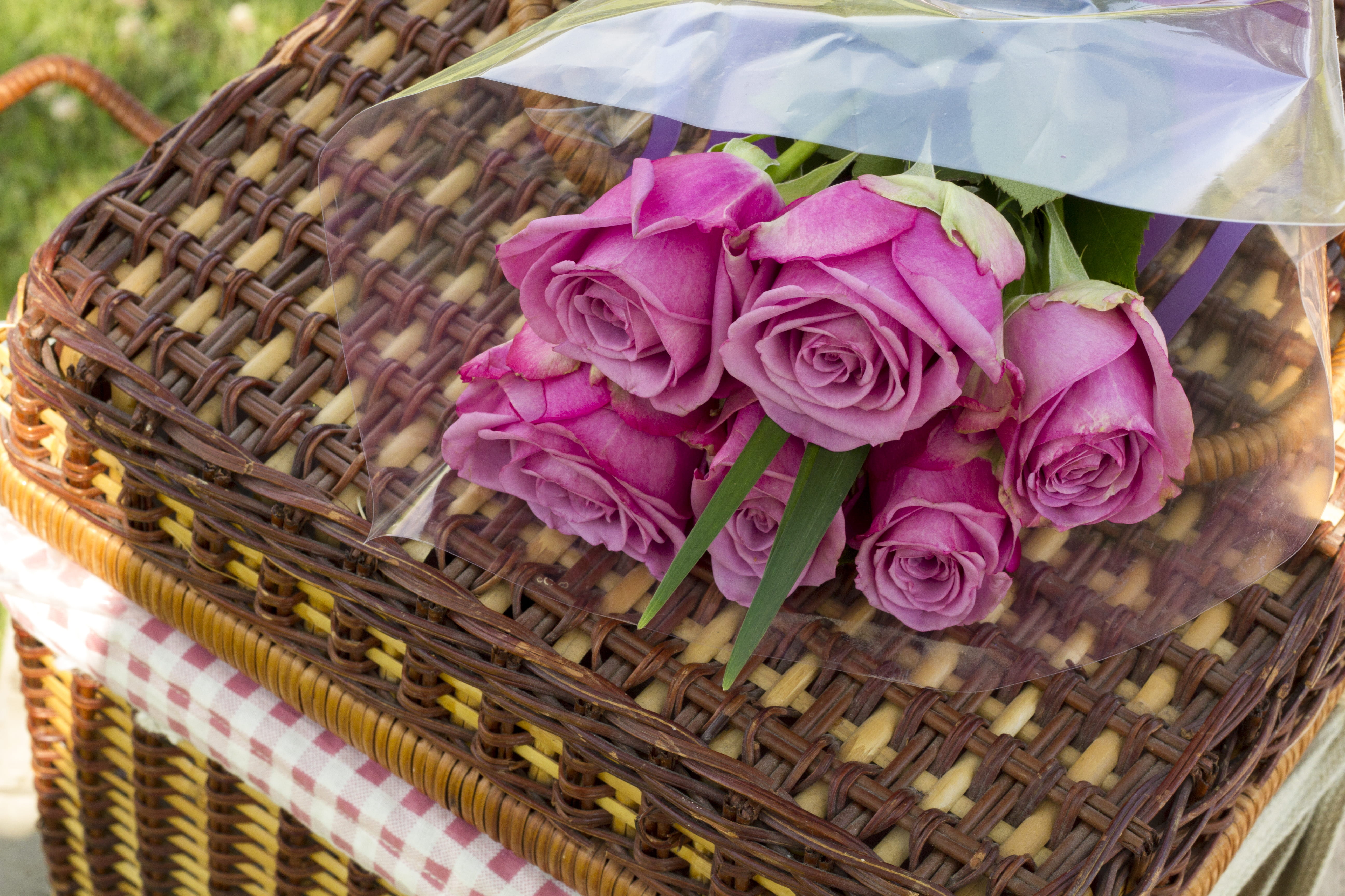 united states, plant, hilliard, fragility, flowers, bouquet, beauty in nature, container, no people, nature, flower, high angle view, decoration, vulnerability, HD Wallpaper
