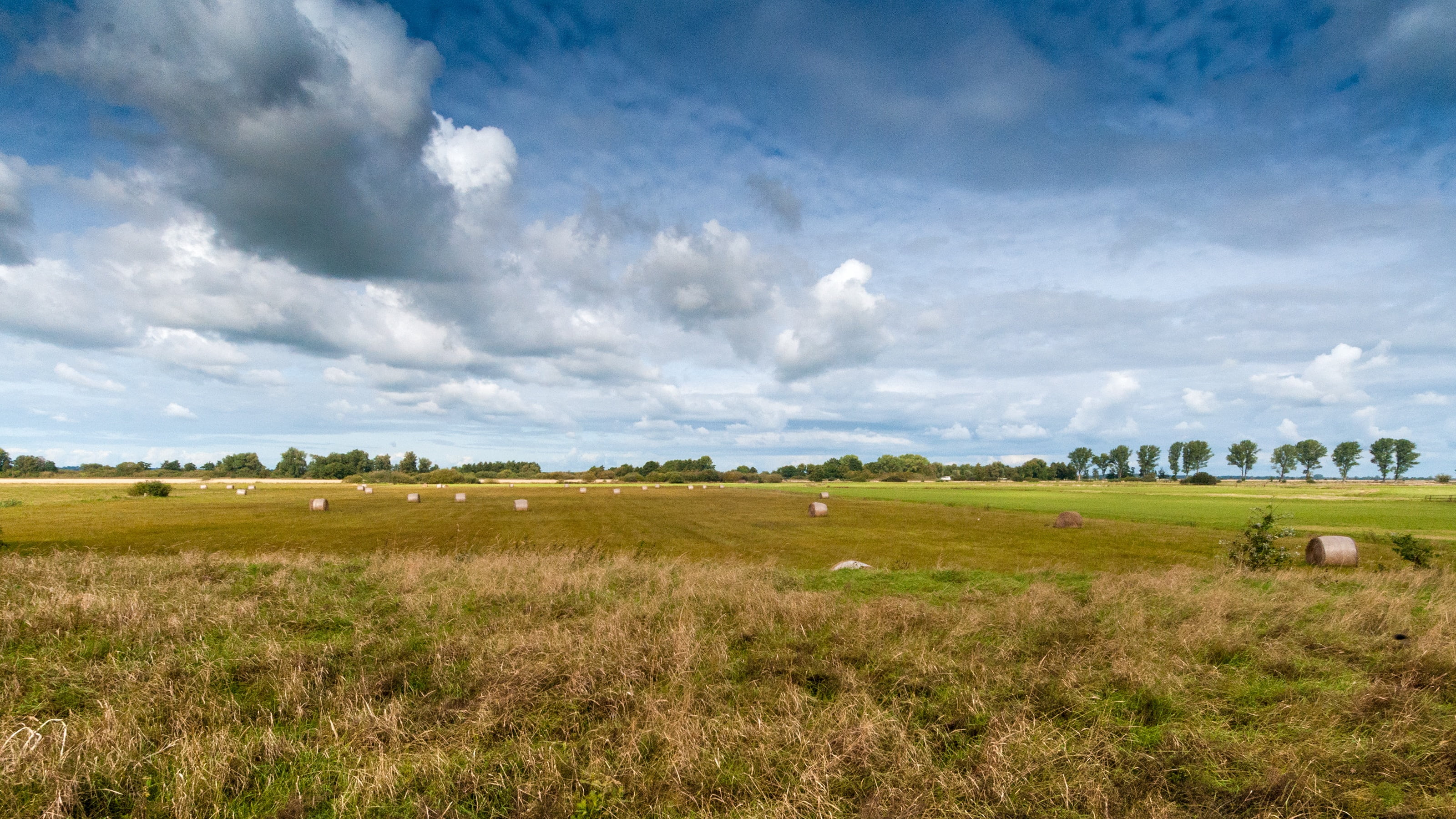 no people, bike ride, outdoors, land, cloud - sky, scenics - nature, bremen, moor, tree, northern germany, relaxation, nature, day, agriculture, plant, HD Wallpaper