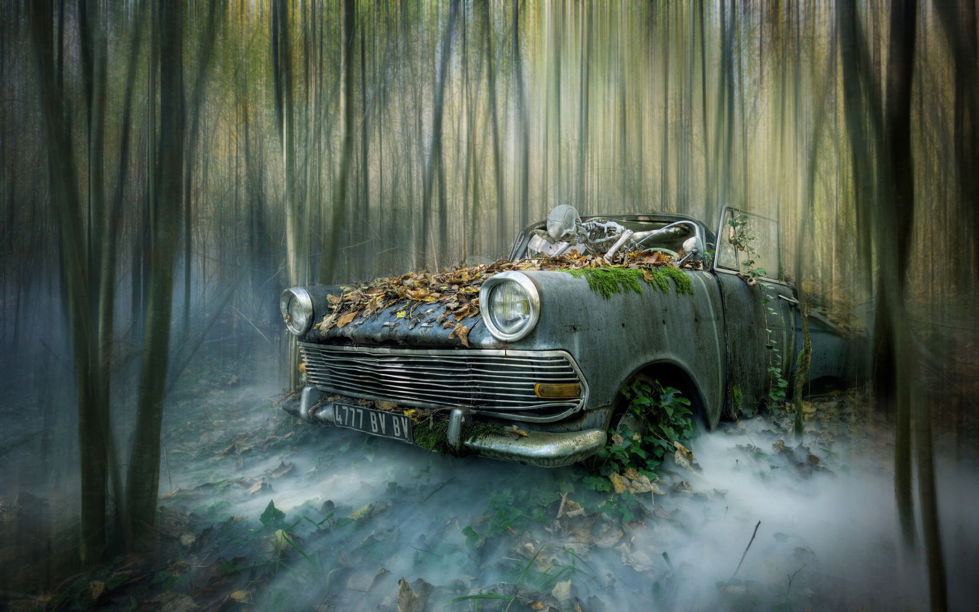 vehicle, skeleton, car, wreck, 1080P, HD Wallpaper