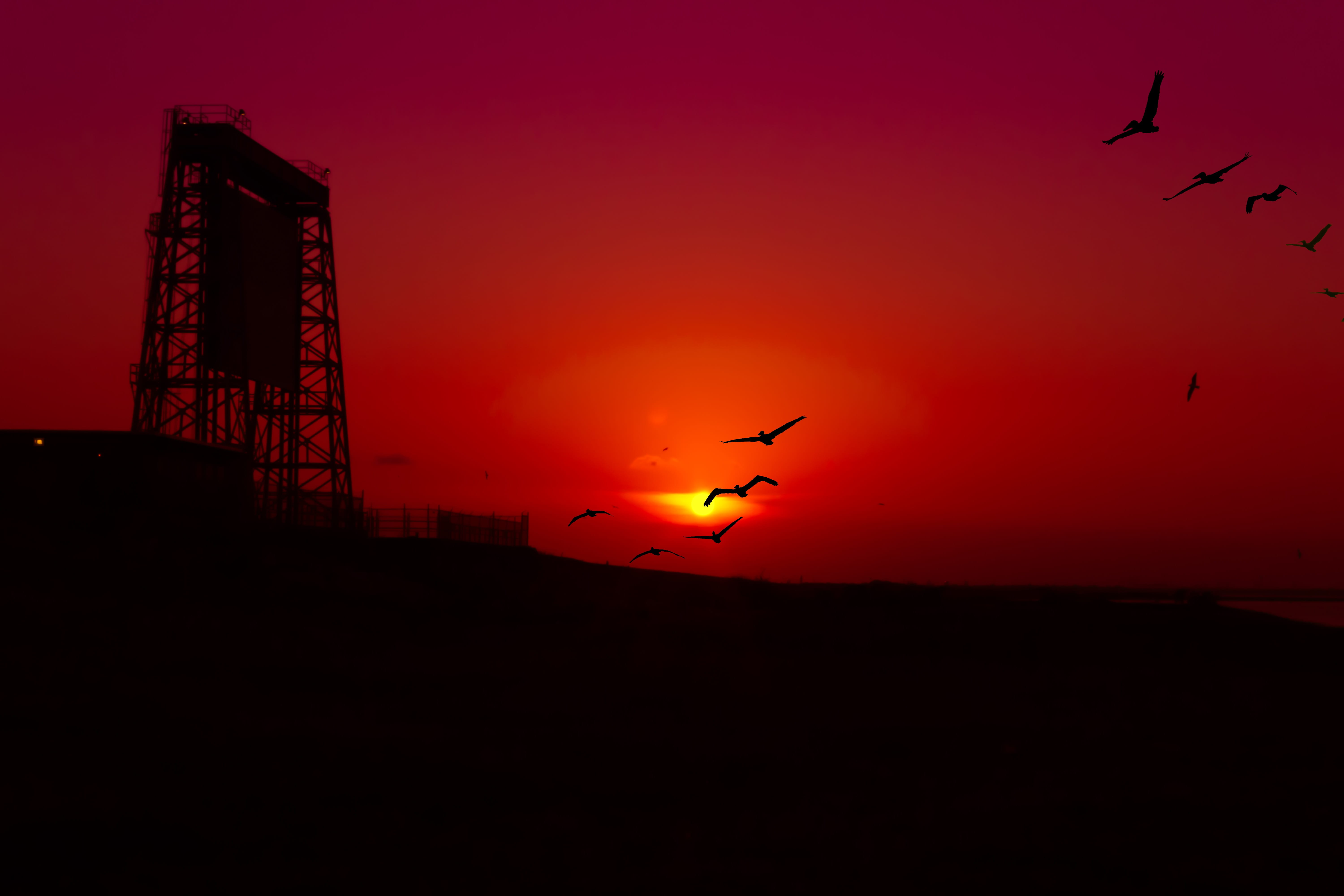 sky, nature, animal body part, no people, colorful, sunset, draw bridge, animal, dusk, red, sun, group of animals, coastline, skyline, pelicans, scenic, HD Wallpaper