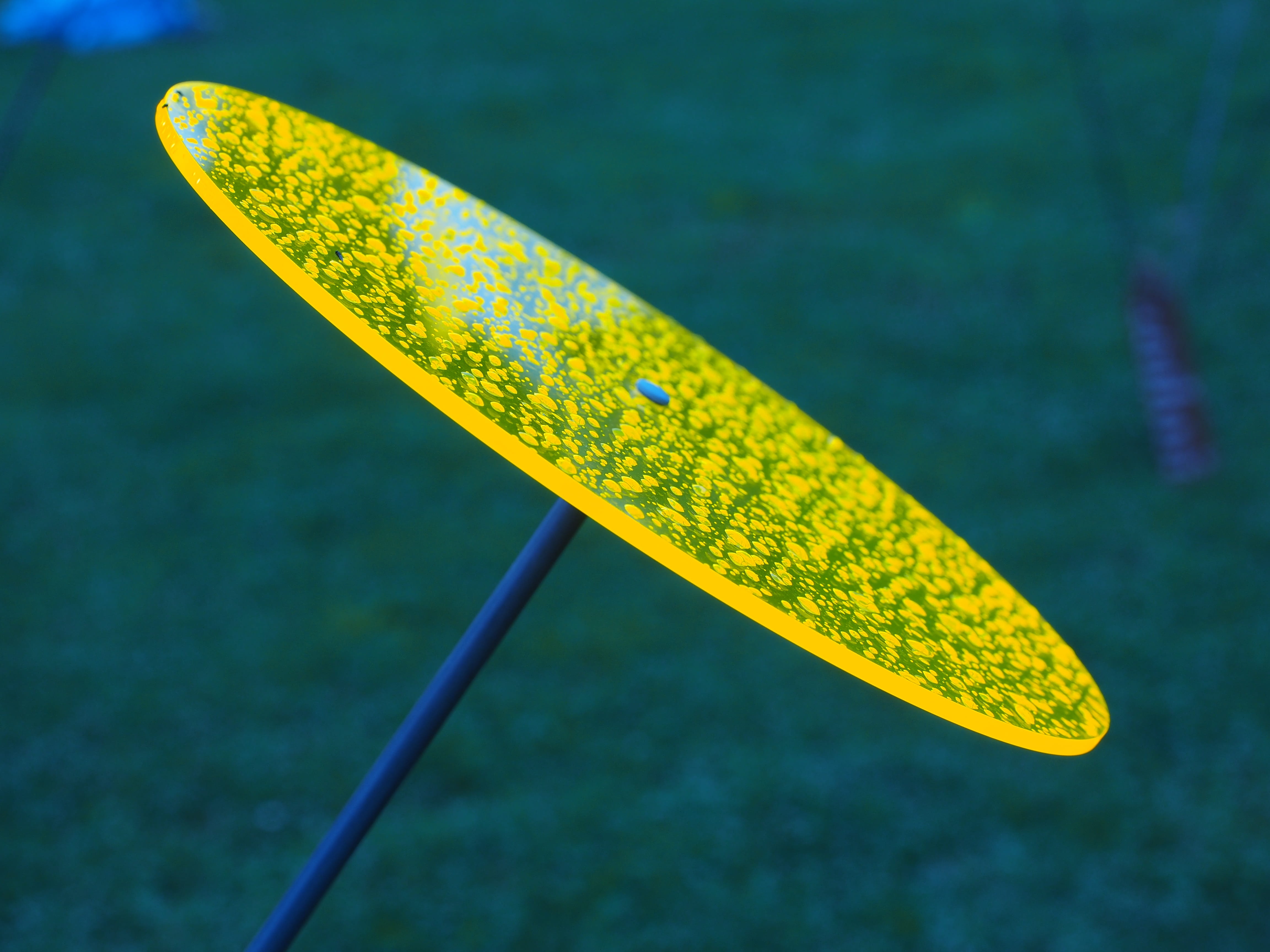 neon yellow, Drop Of Water, light catcher, outdoors, gartendeko, no people, leaf, neon, drop, plexiglas, nature, growth, green color, land, Sun, single object, HD Wallpaper