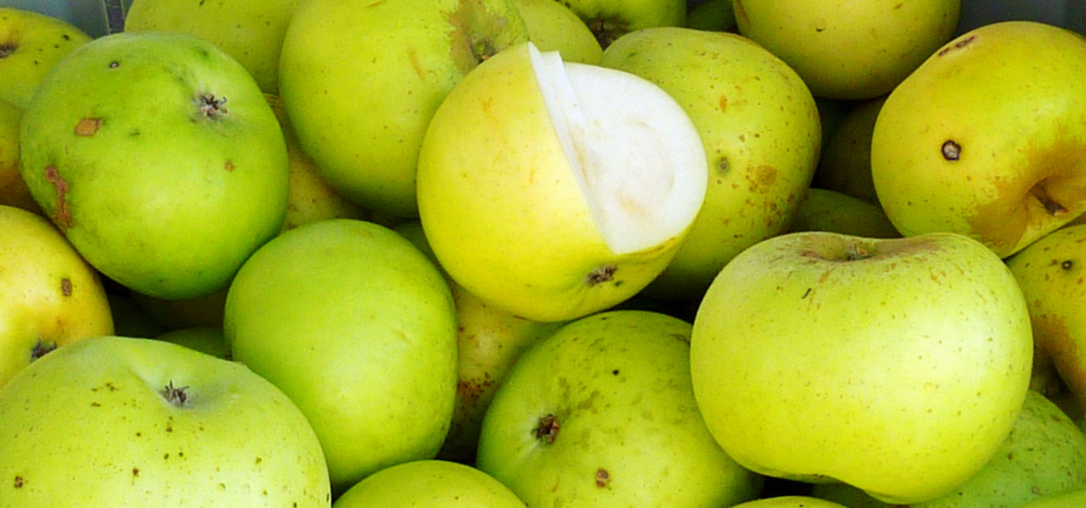 green color, abundance, sun, vitamins, full frame, no people, apple, food, nature, market stall, freshness, healthy eating, fruits, wellbeing, mango fruit, HD Wallpaper