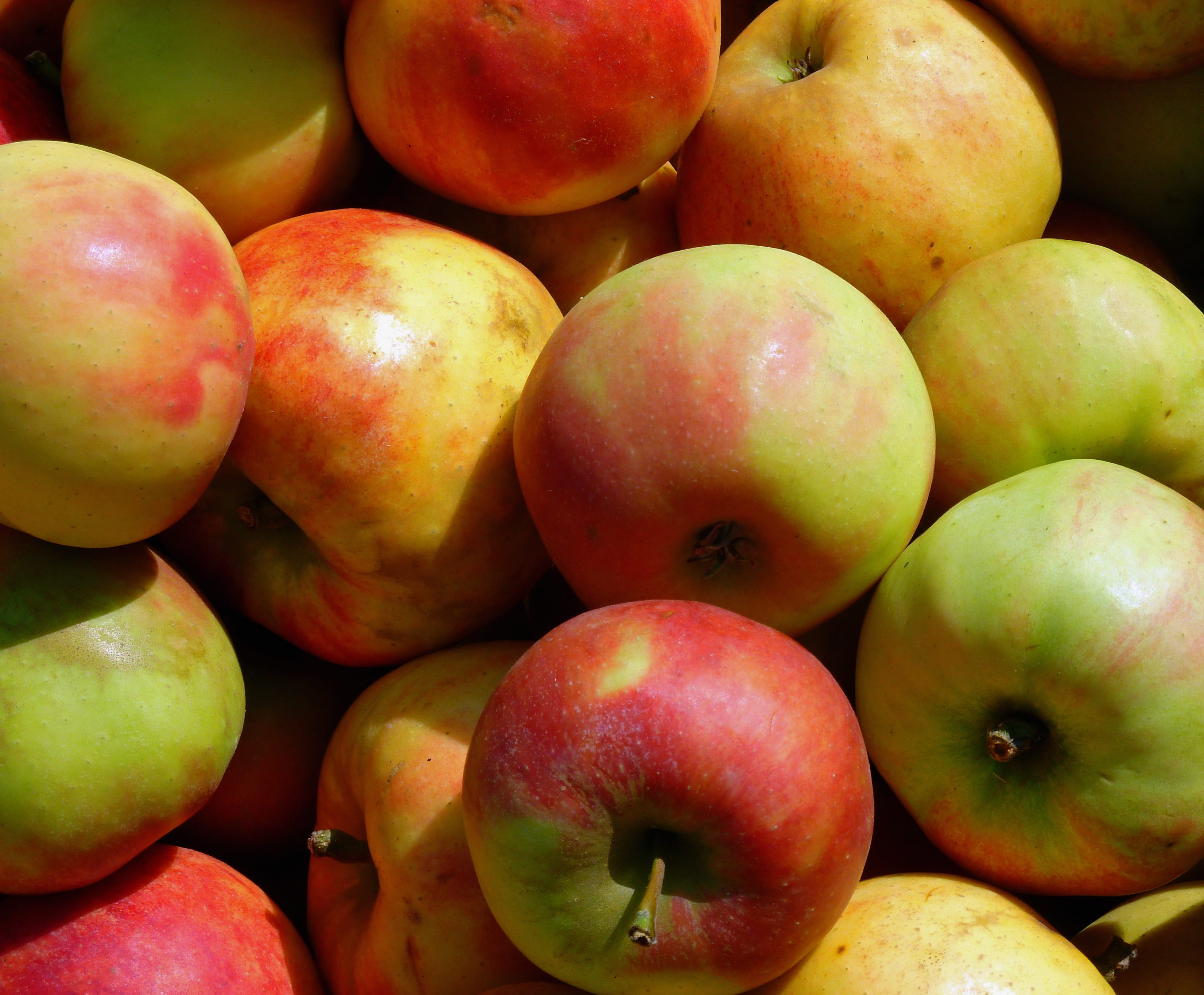 healthy eating, group of objects, apple - fruit, red copic, abundance, shadow, healthy, market stall, freshness, backgrounds, landscape, leaves, for sale, HD Wallpaper
