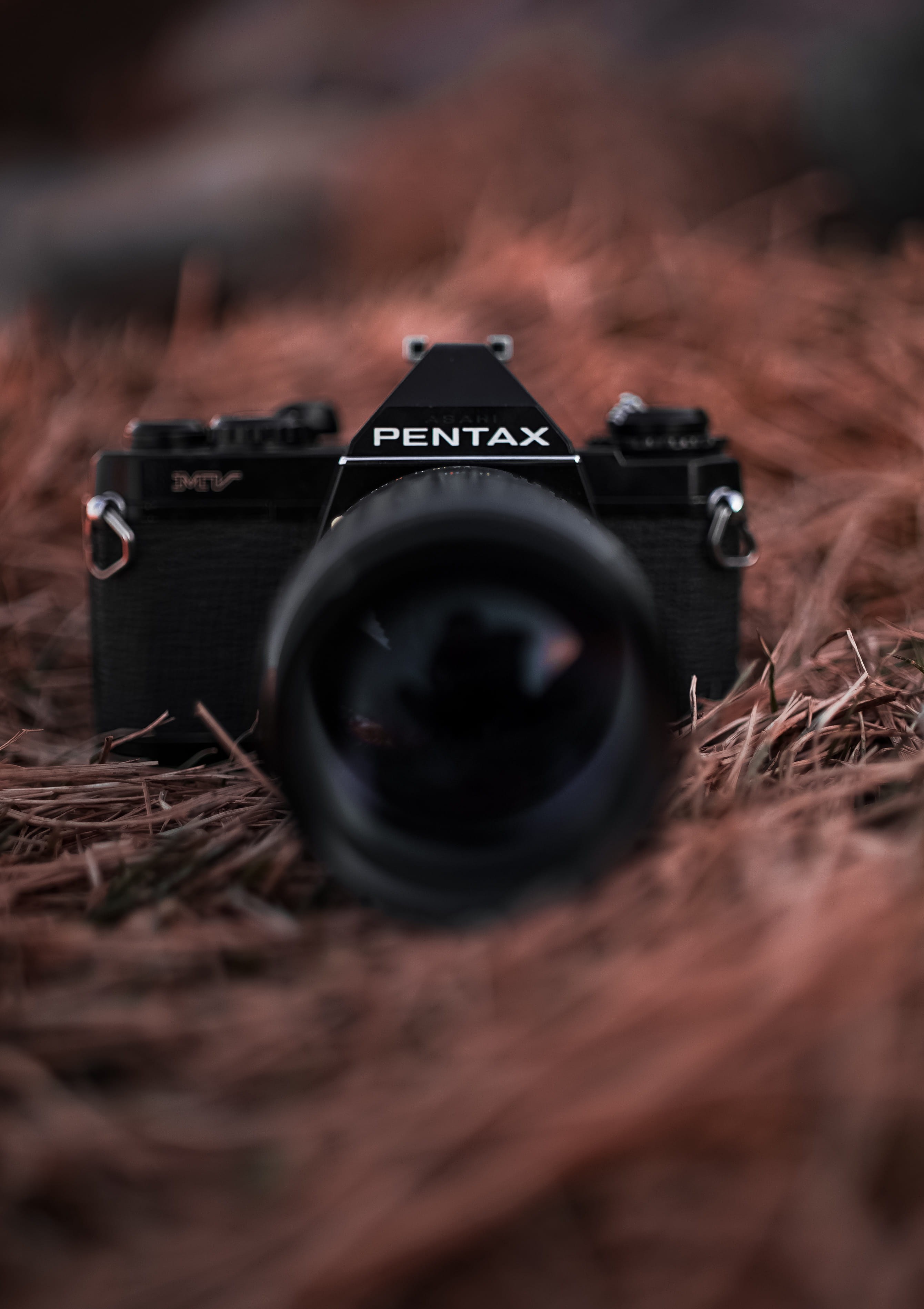 farm, 2K, camera, outdoors, gun, grass, milc, electronics, pentax, pasture, photo, nature, grassland, digital camera, lens - optical instrument, photographing, Phone HD Wallpaper