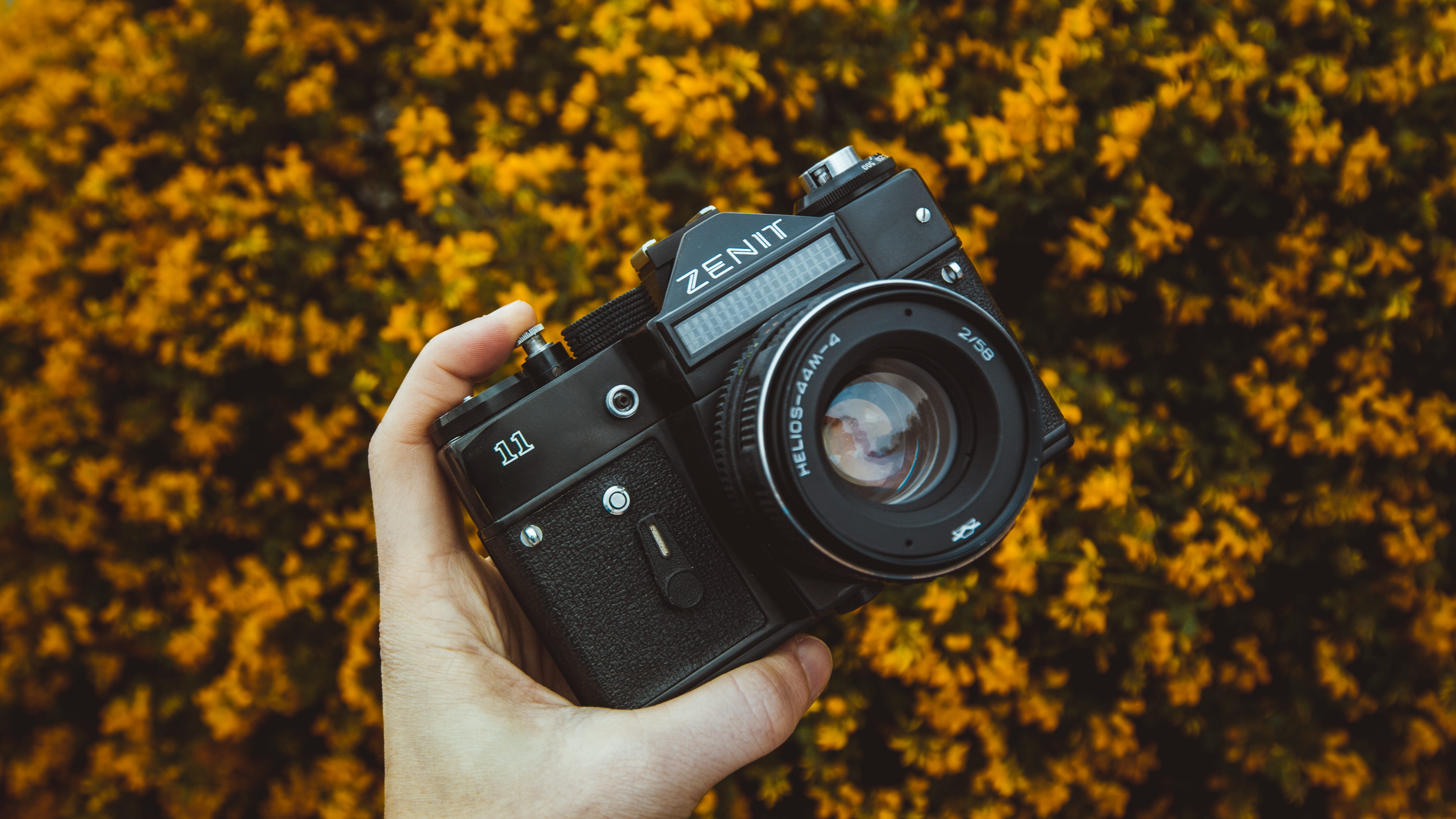 canon, activity, camera, leisure activity, digital camera, flower, person, slr camera, photographing, objectif, zenith, black, vintage, hand, retro, 4K, HD Wallpaper