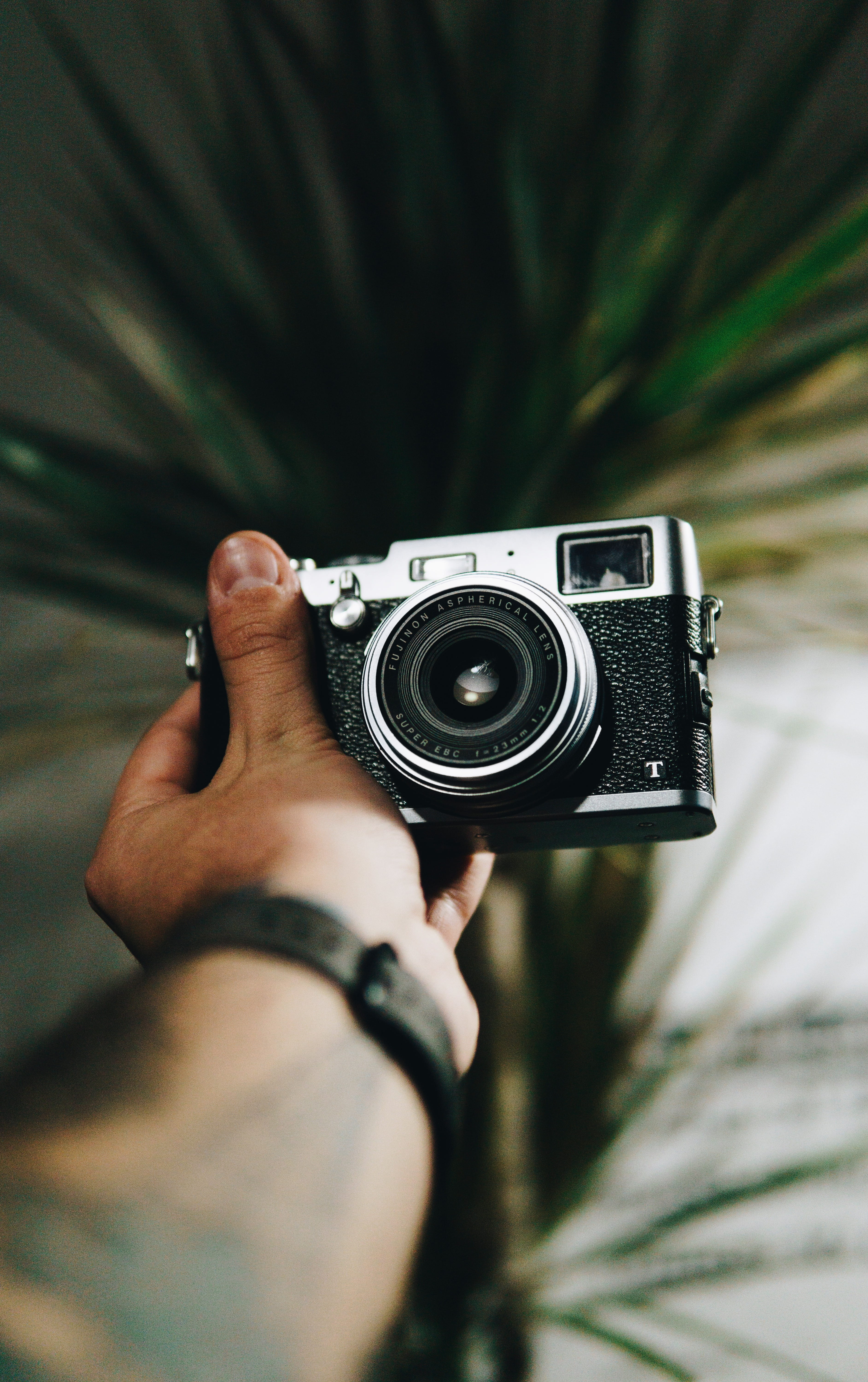 body part, camera - photographic equipment, retro styled, real people, digital camera, finger, activity, tree, holding, one person, technology, human body part, Phone HD Wallpaper