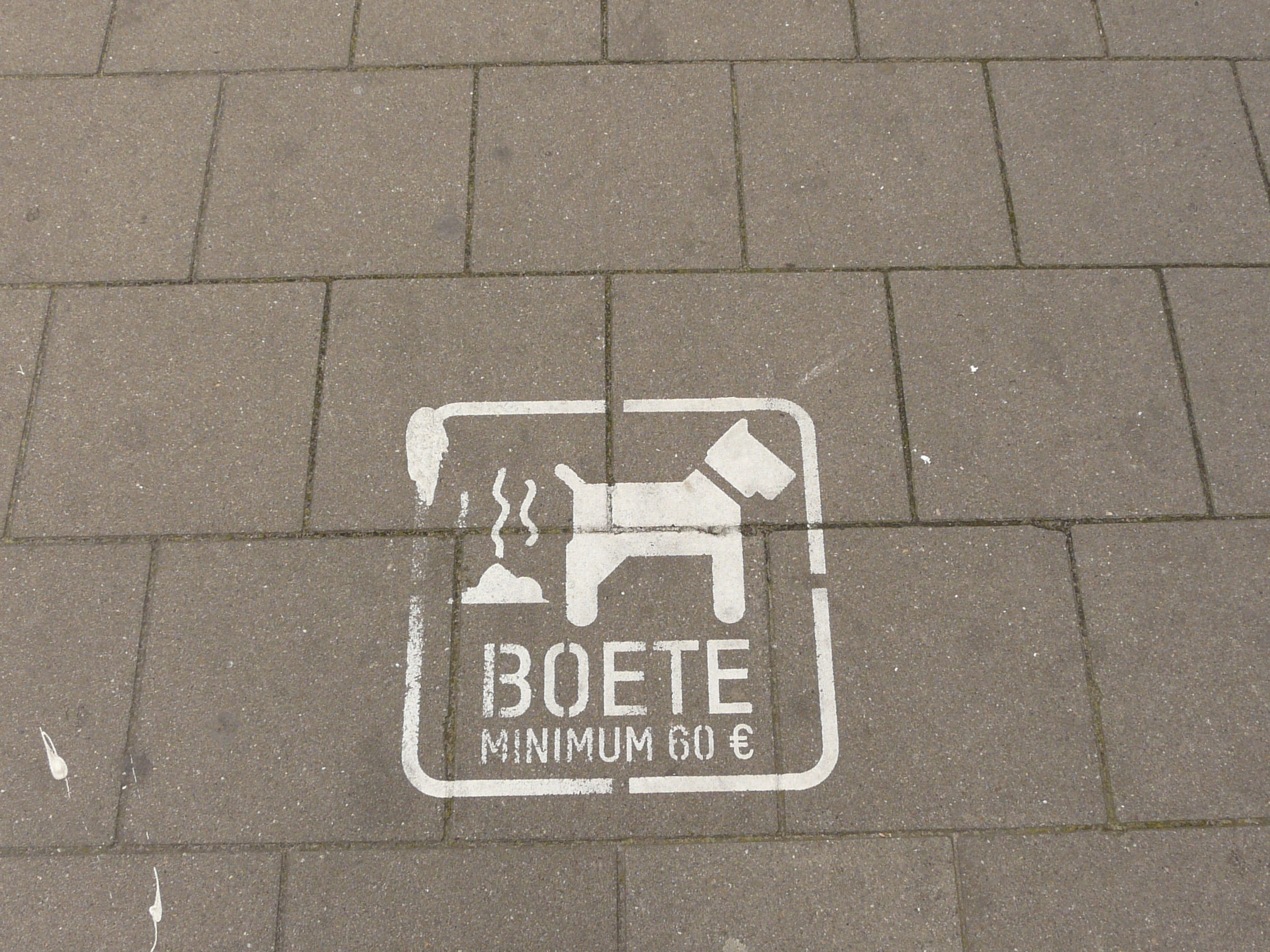 footpath, street, poo, transportation, photo, Belgium, paving stone, Fine, close-up, ban, western script, Booger, outdoors, Dog, sidewalk, no people, feces, HD Wallpaper