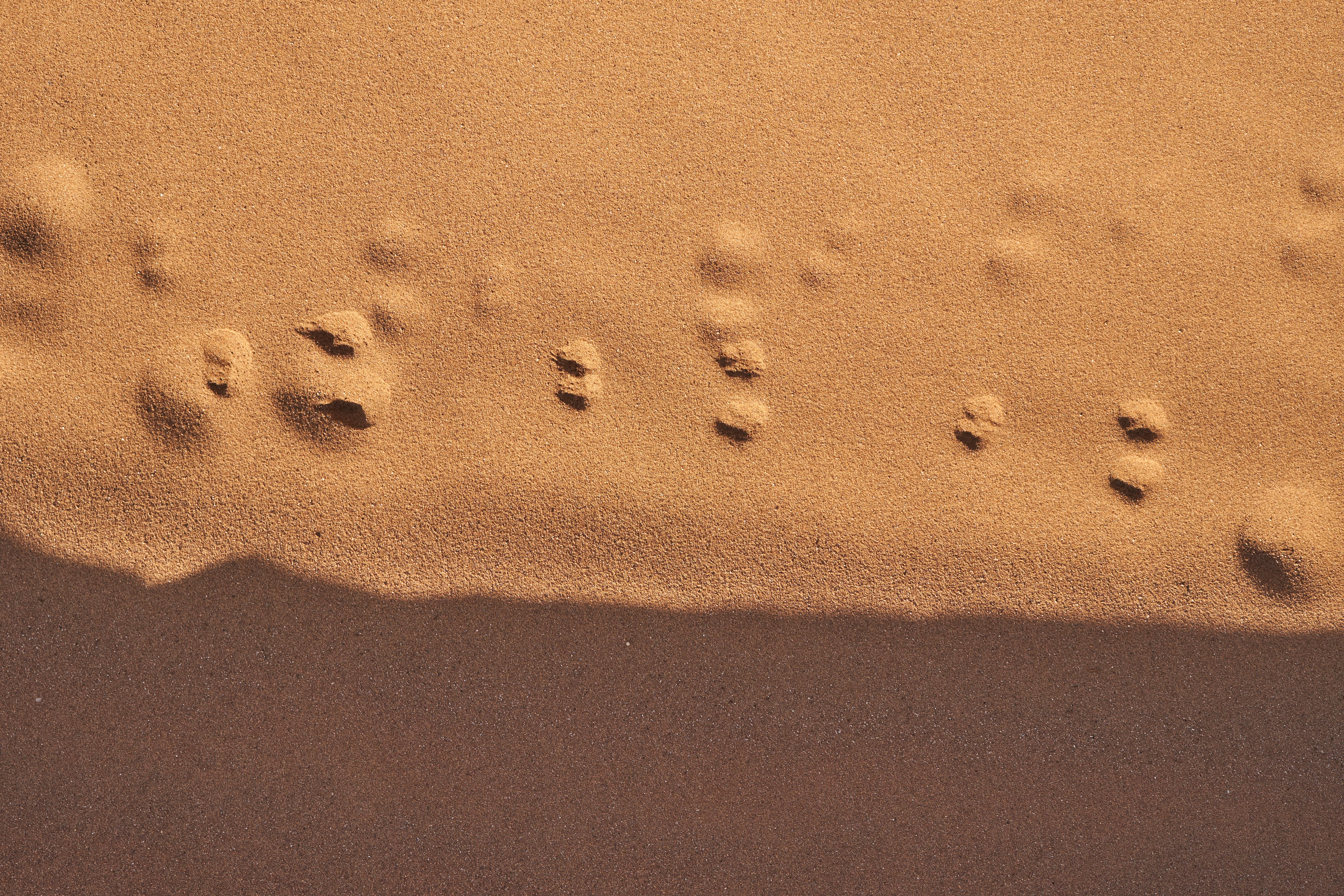 hole, raisins, print, foam, absence, full frame, footprint, high angle view, mystery, love, arid climate, pattern, document, backgrounds, desert, passport, HD Wallpaper