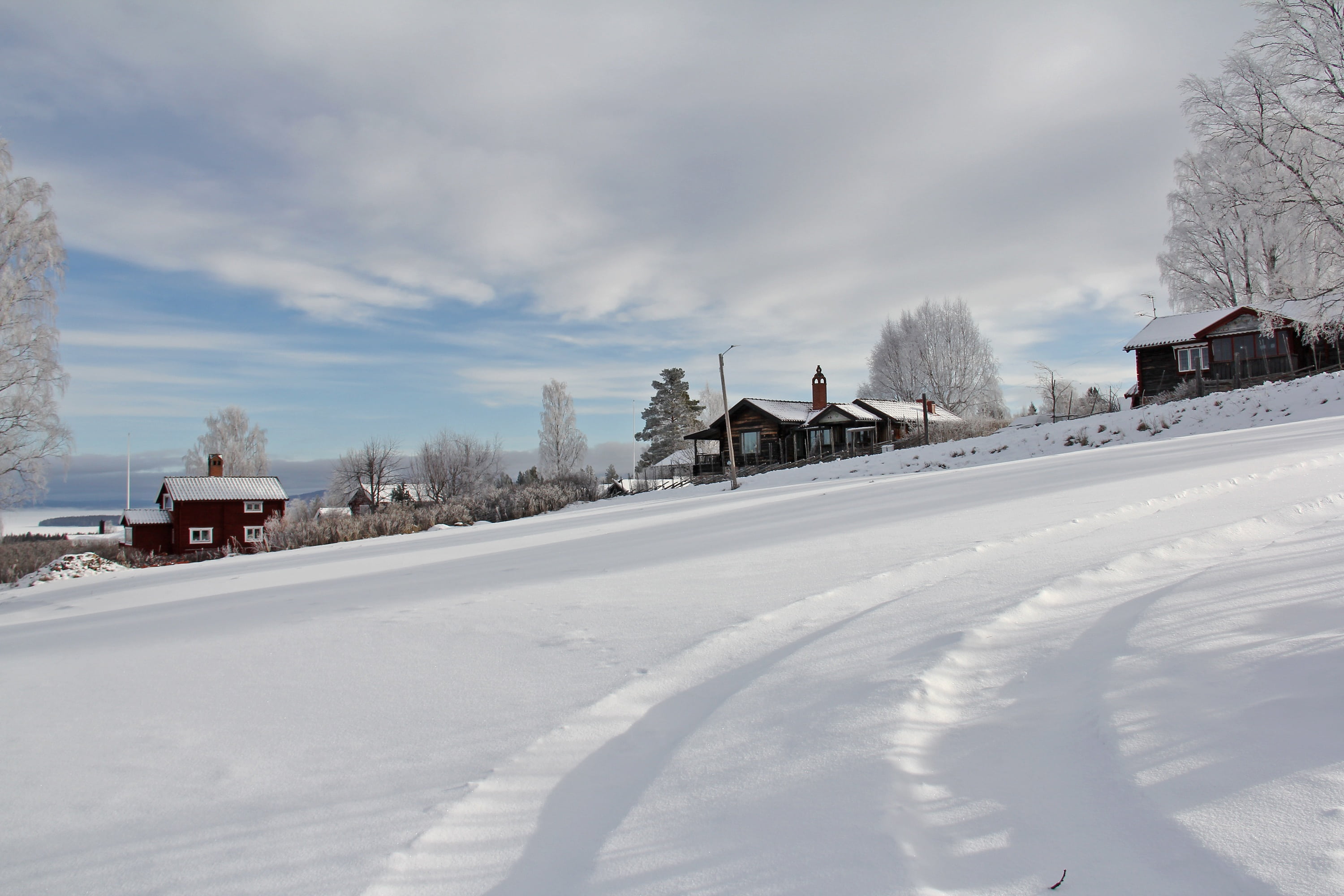 winter, tree, mode of transportation, red, plant, travel, shore, white, wood, white color, outdoors, dalarna, 2K, built structure, countryside, scenic, HD Wallpaper