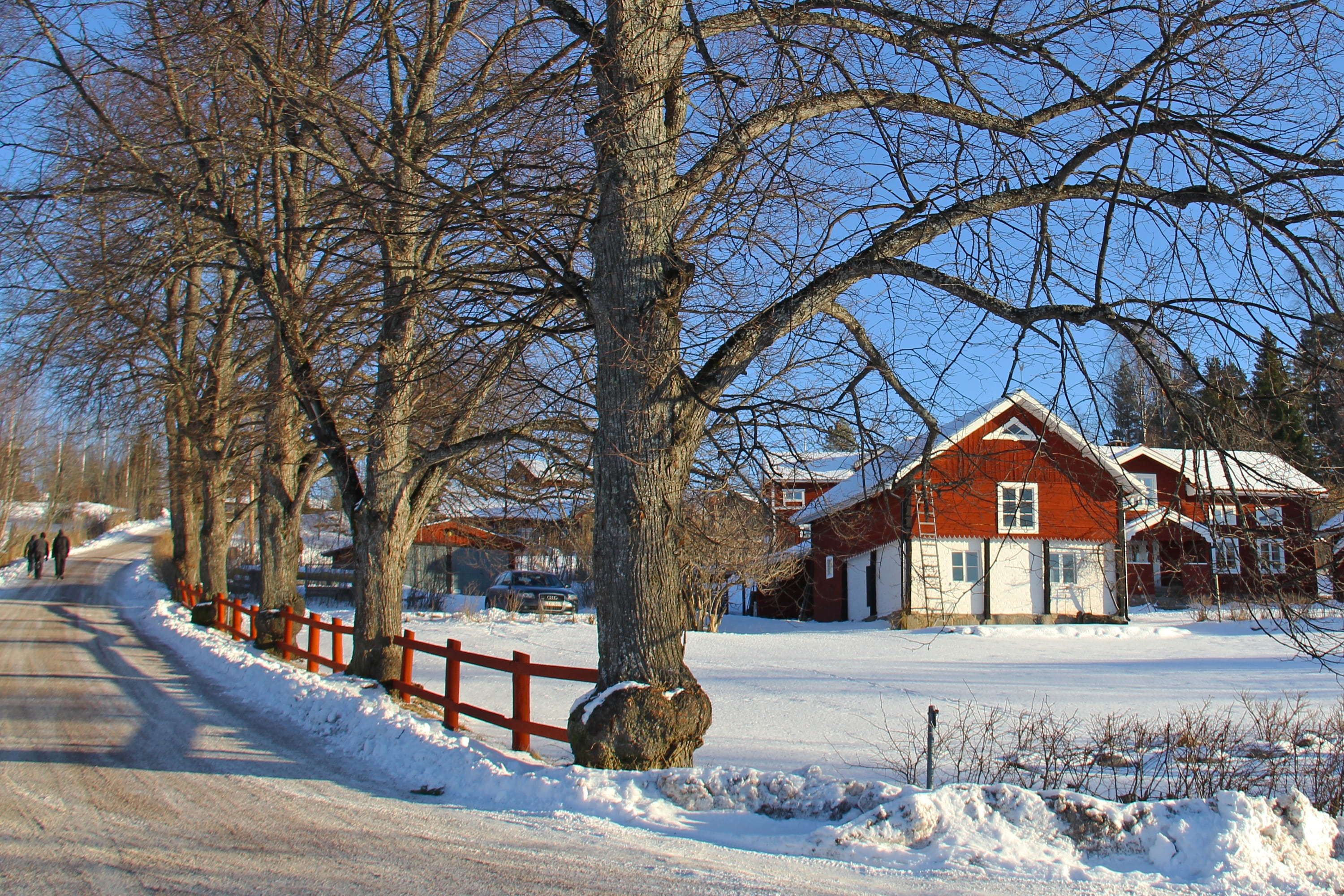 travel, white, outdoors, charming, building exterior, white color, tourism, 2K, countryside, architecture, trees, land, no people, near, house, wooden, HD Wallpaper