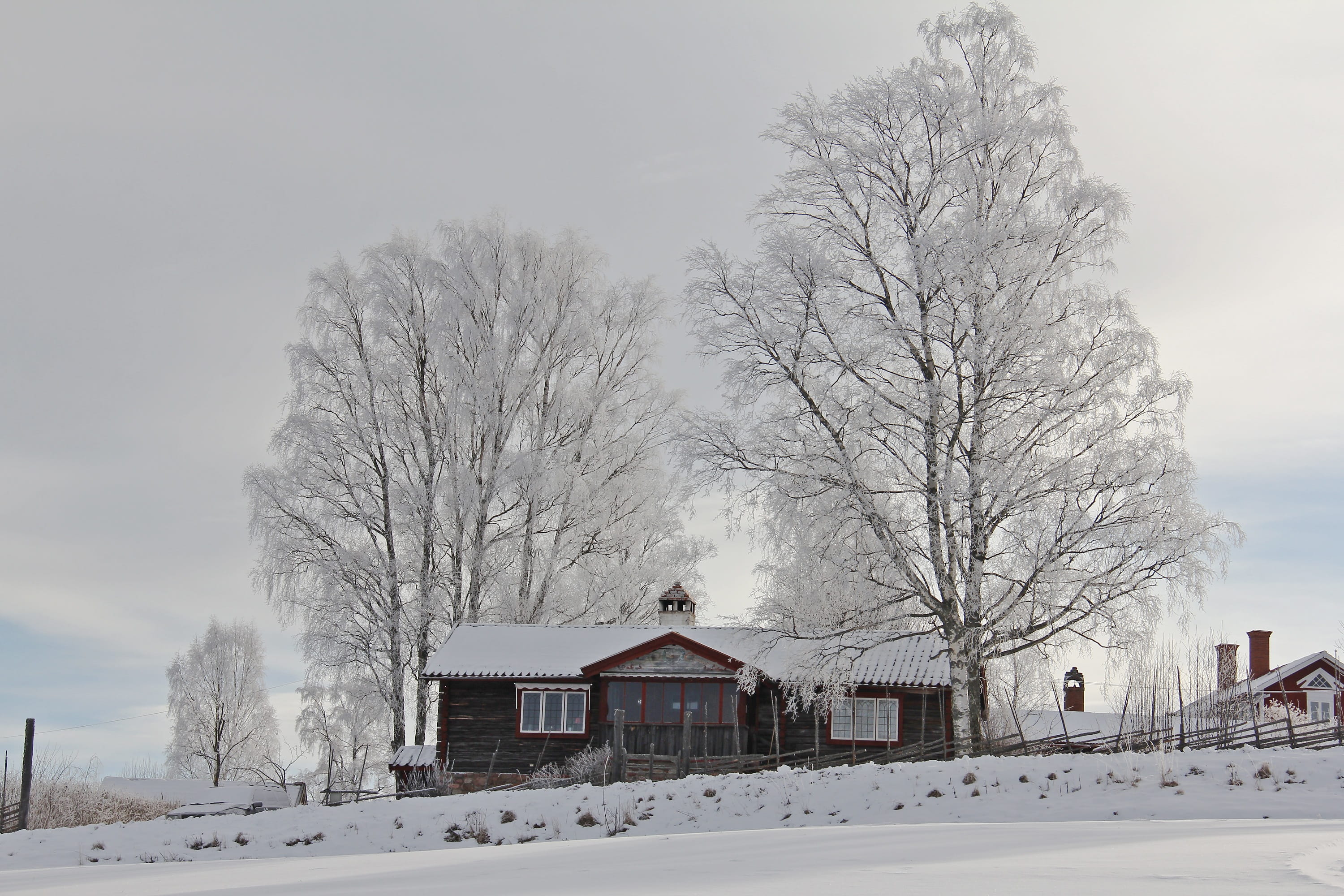 shore, White, snowing, building, snows, rural Scene, travel, Snow, europe, cold temperature, plant, nature, no People, landscape, exotic, red, covered, HD Wallpaper