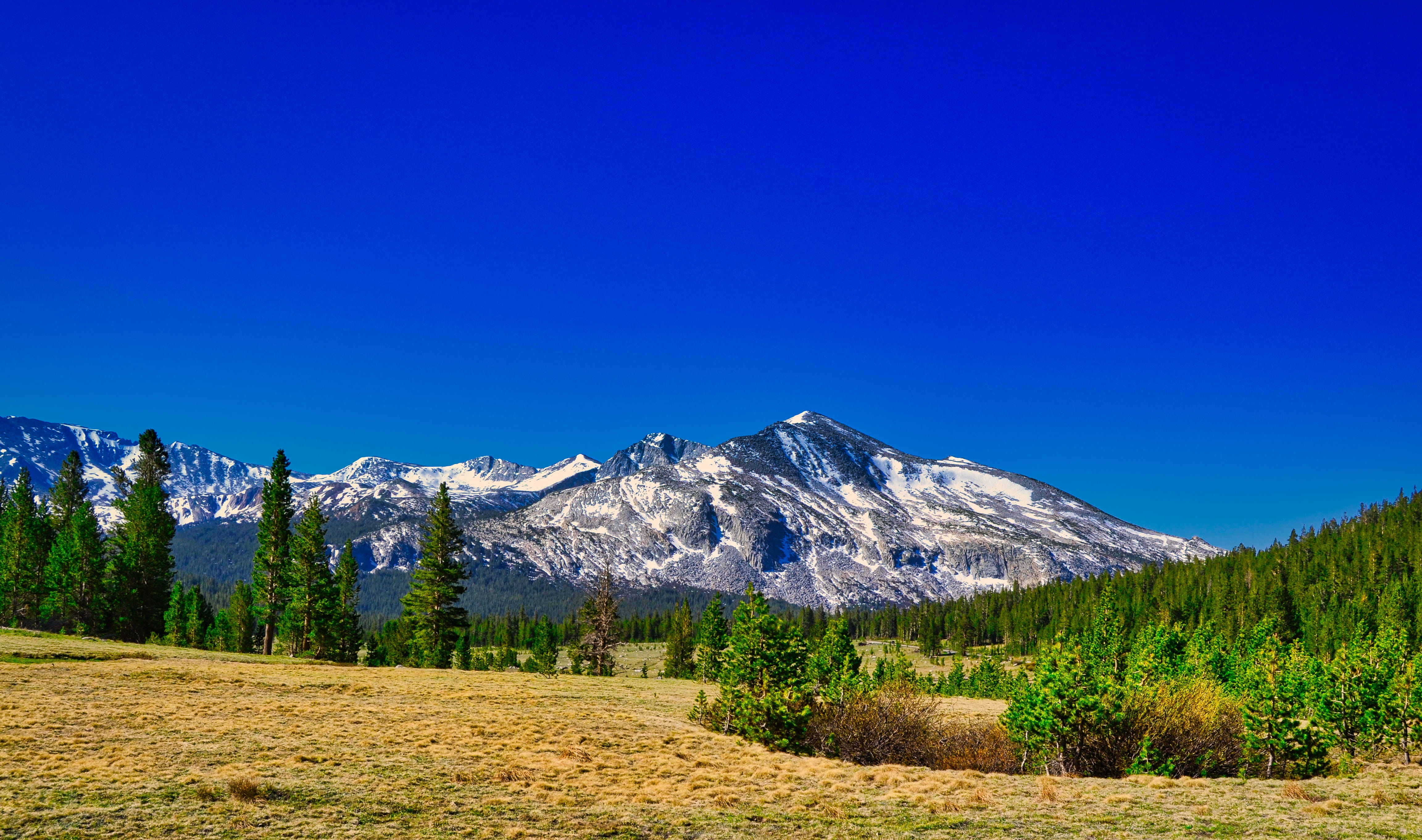 yosemite, tranquil scene, 4K, clear sky, snowcapped mountain, pine woodland, land, pine tree, cold temperature, outdoors, tourism, idyll, pasture, nature, HD Wallpaper