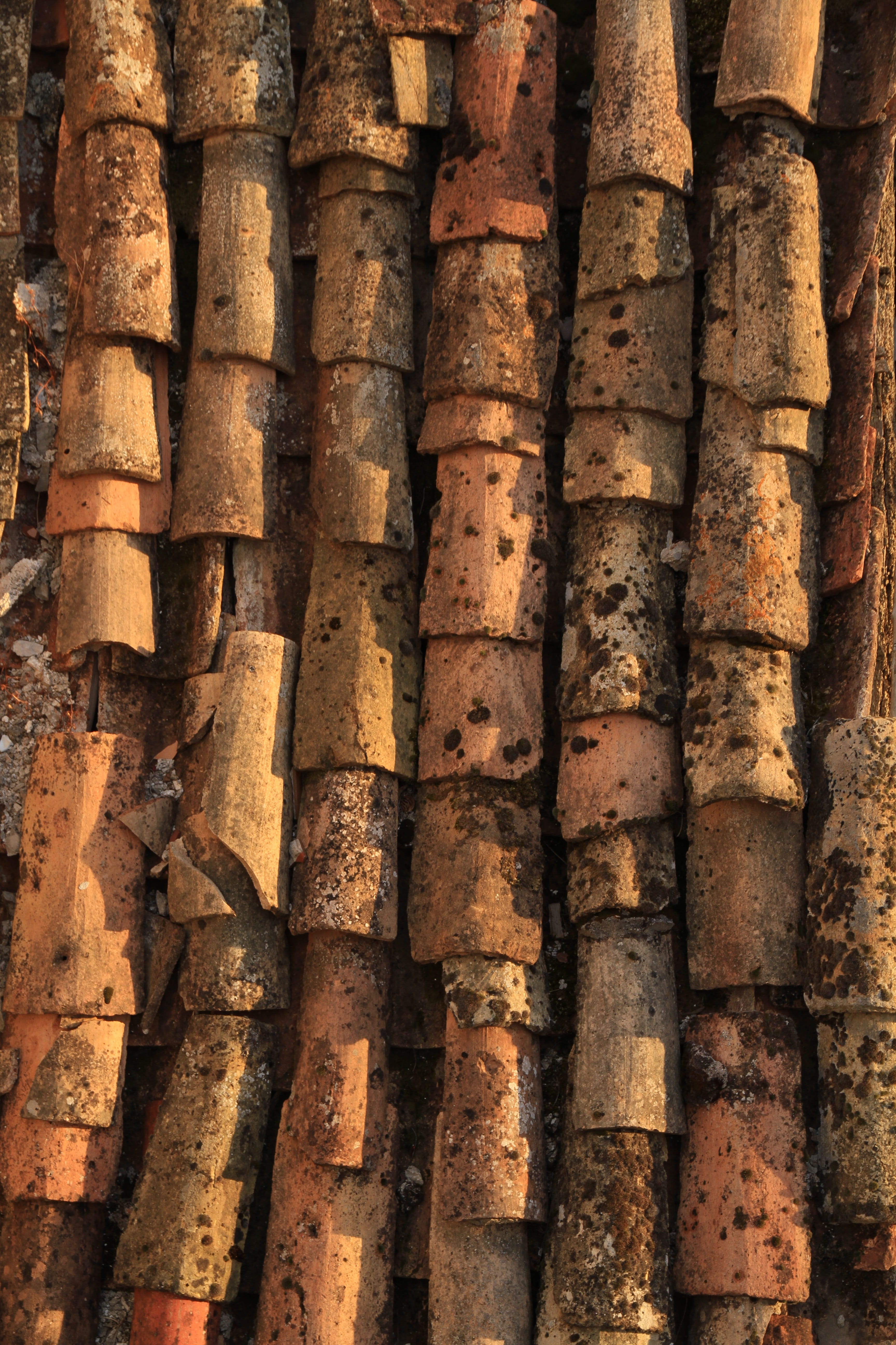 expression, roof tiles, repetition, kuna, roof tile, day, old, backgrounds, roof, outdoors, tree, still life, no people, close-up, croatia, wood - material, Phone HD Wallpaper