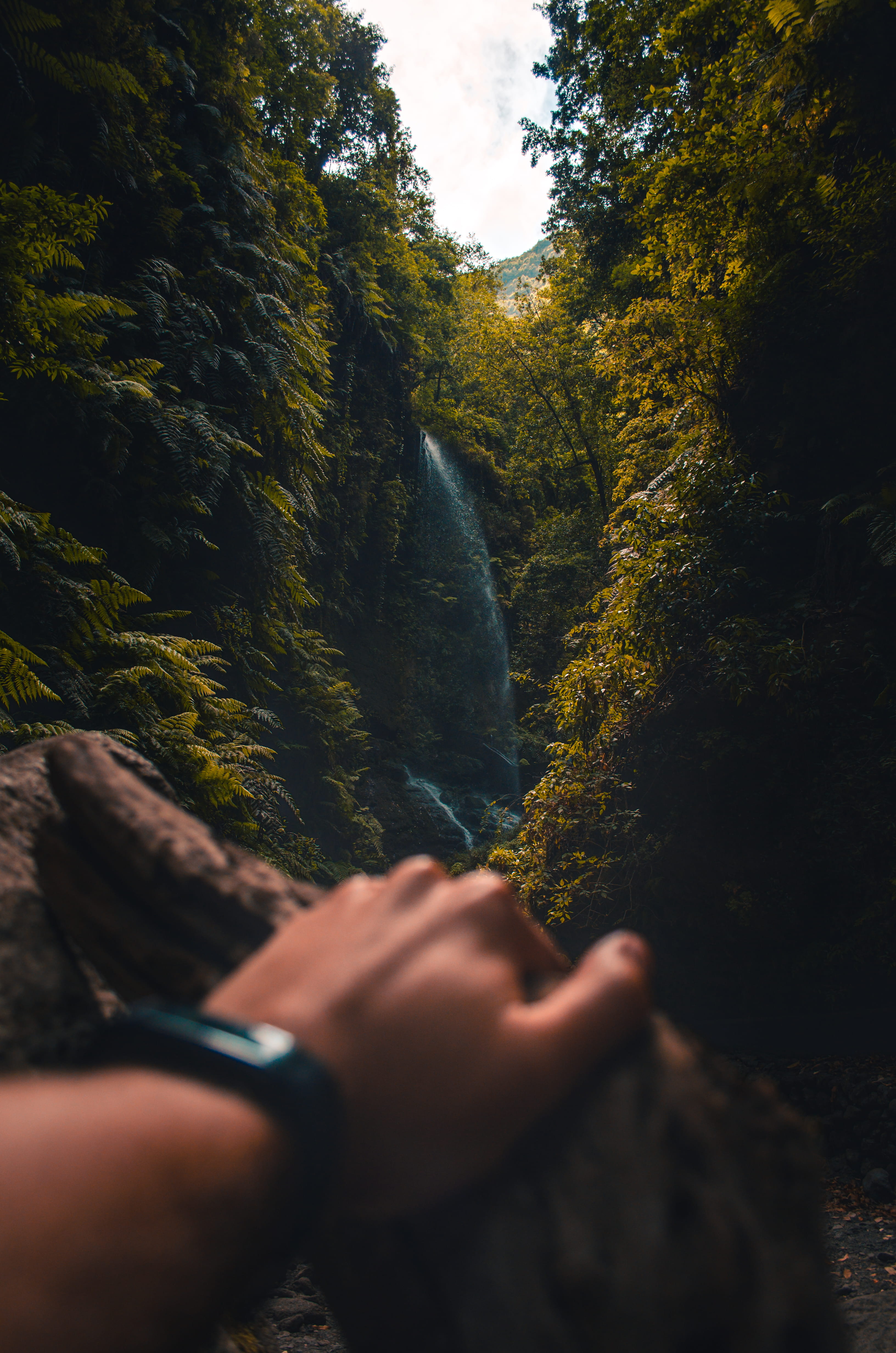 explore, sun, green, adventure, mountain, neture, waterfalls, beauty In Nature, scenics, relaxation, journey, adult, waterfall, woodland, rock - Object, Phone HD Wallpaper