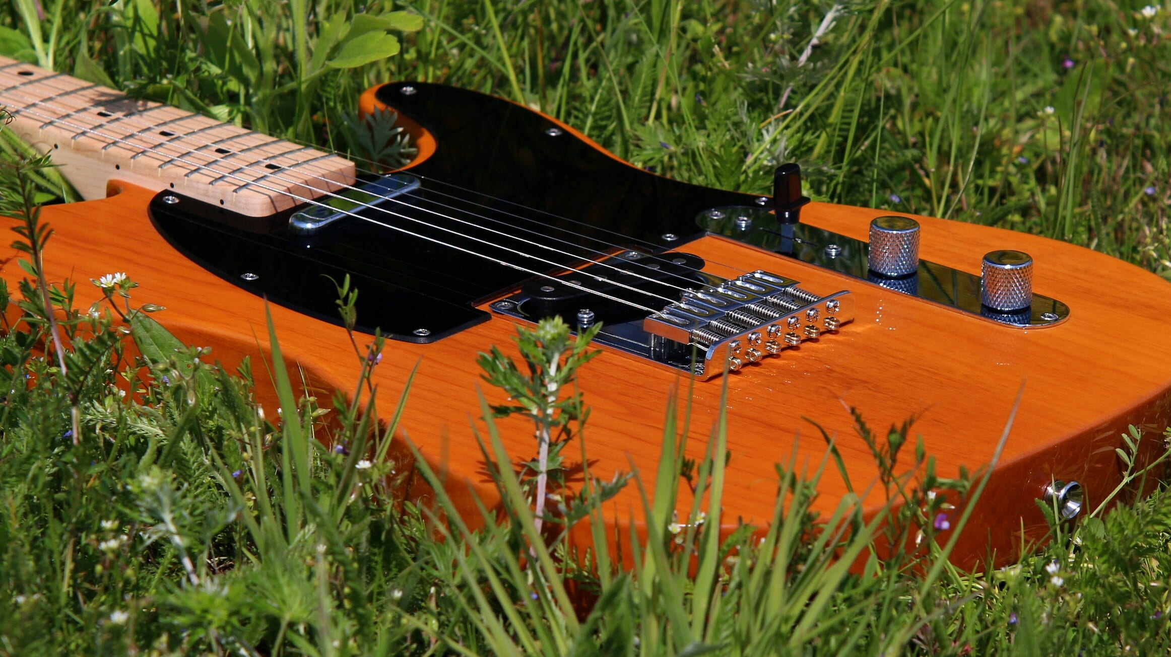 musical instrument string, 1080P, nature, fender, rock music, green color, grass, fretboard, string, no people, day, field, plant, growth, musical equipment, HD Wallpaper