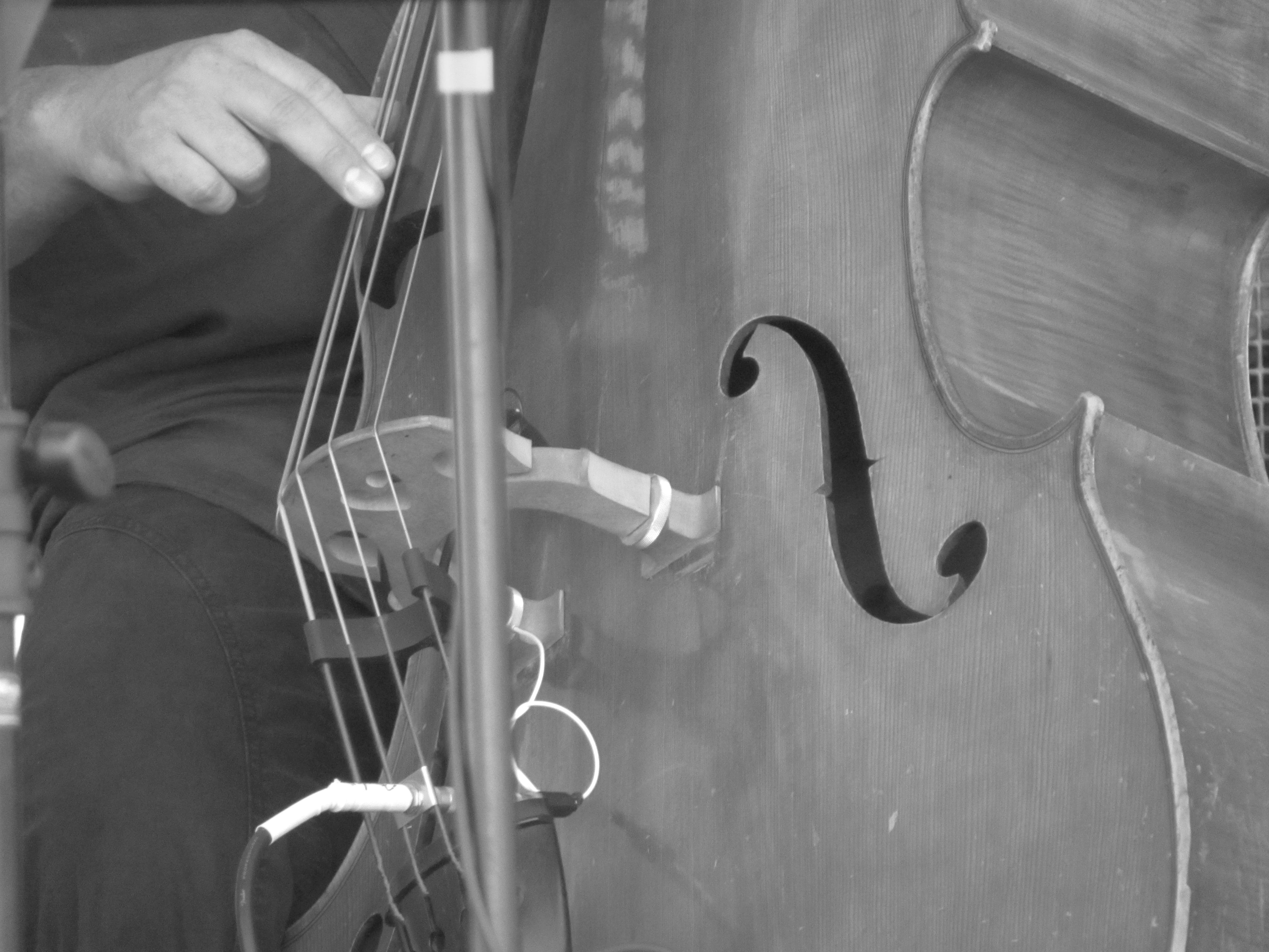 performance, string instrument, one person, human hand, human body part, 4K, string, musical instrument, real people, jazz, arts culture and entertainment, HD Wallpaper