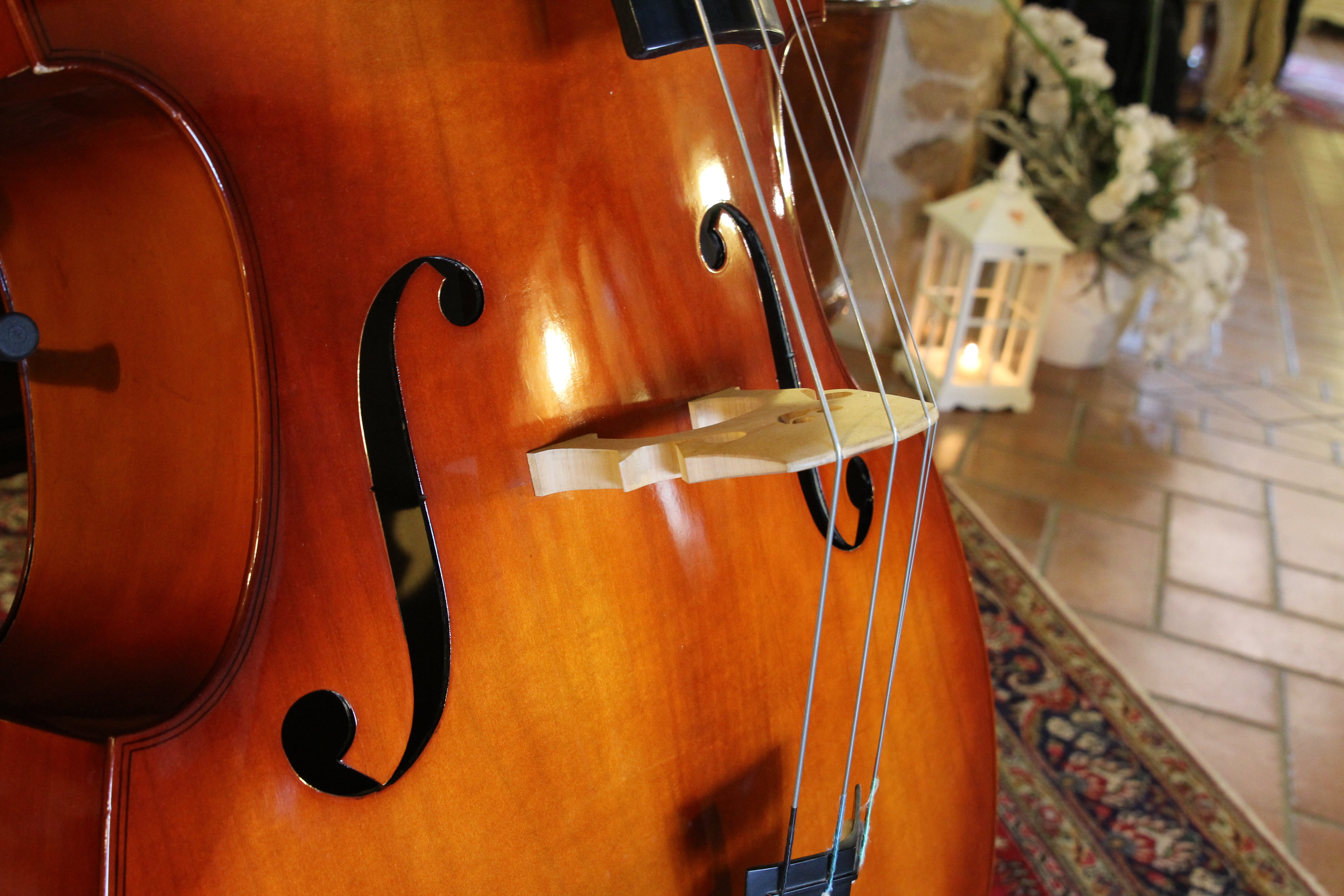 focus on foreground, violin, bow - musical equipment, indoors, string, double bass, music, musical instrument string, archi, musical equipment, 5K, rug, HD Wallpaper