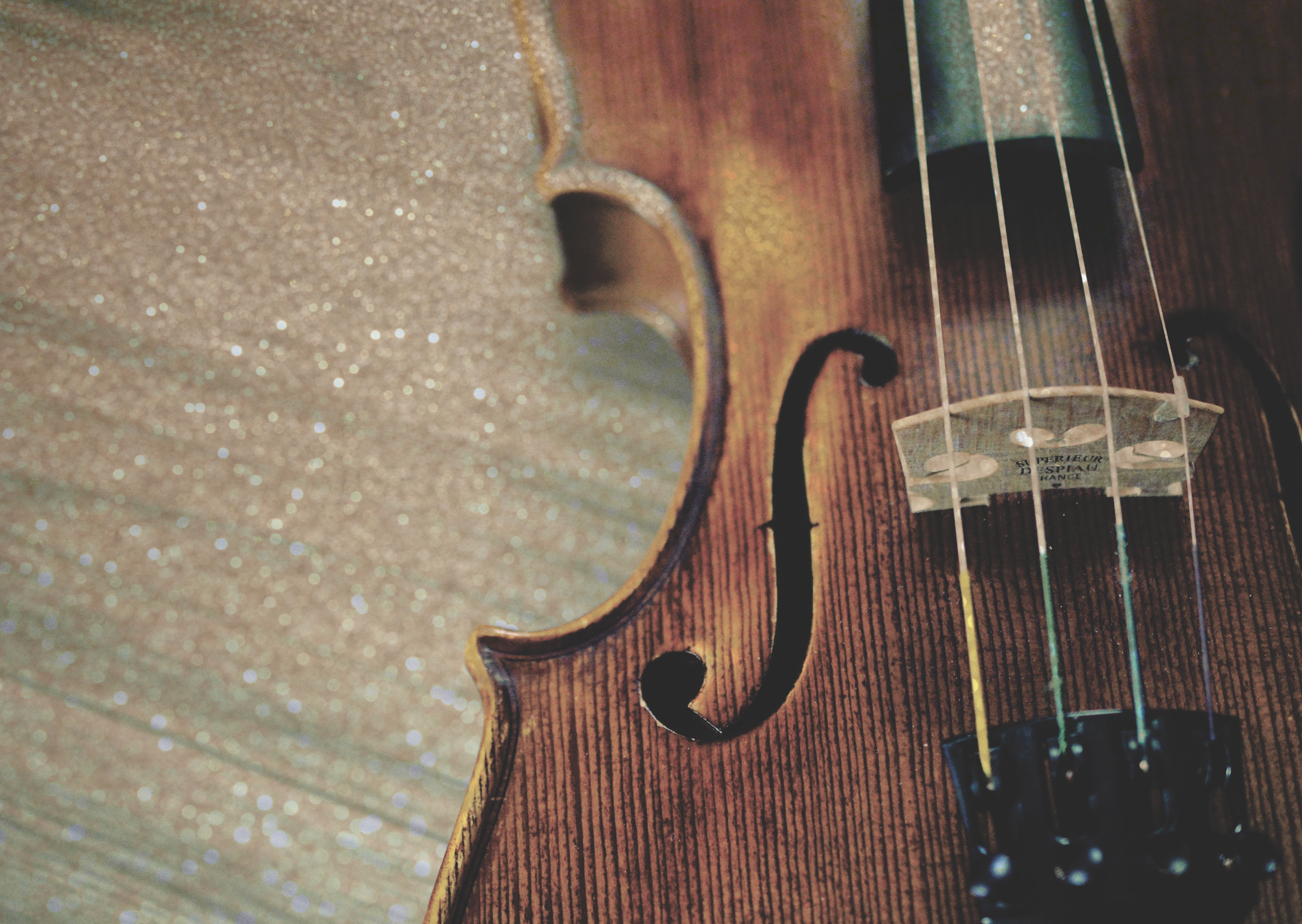 musical Instrument String, indoors, color Image, wooden, 5K, viola - Musical Instrument, violin, still life, wood - Material, single Object, musician, HD Wallpaper