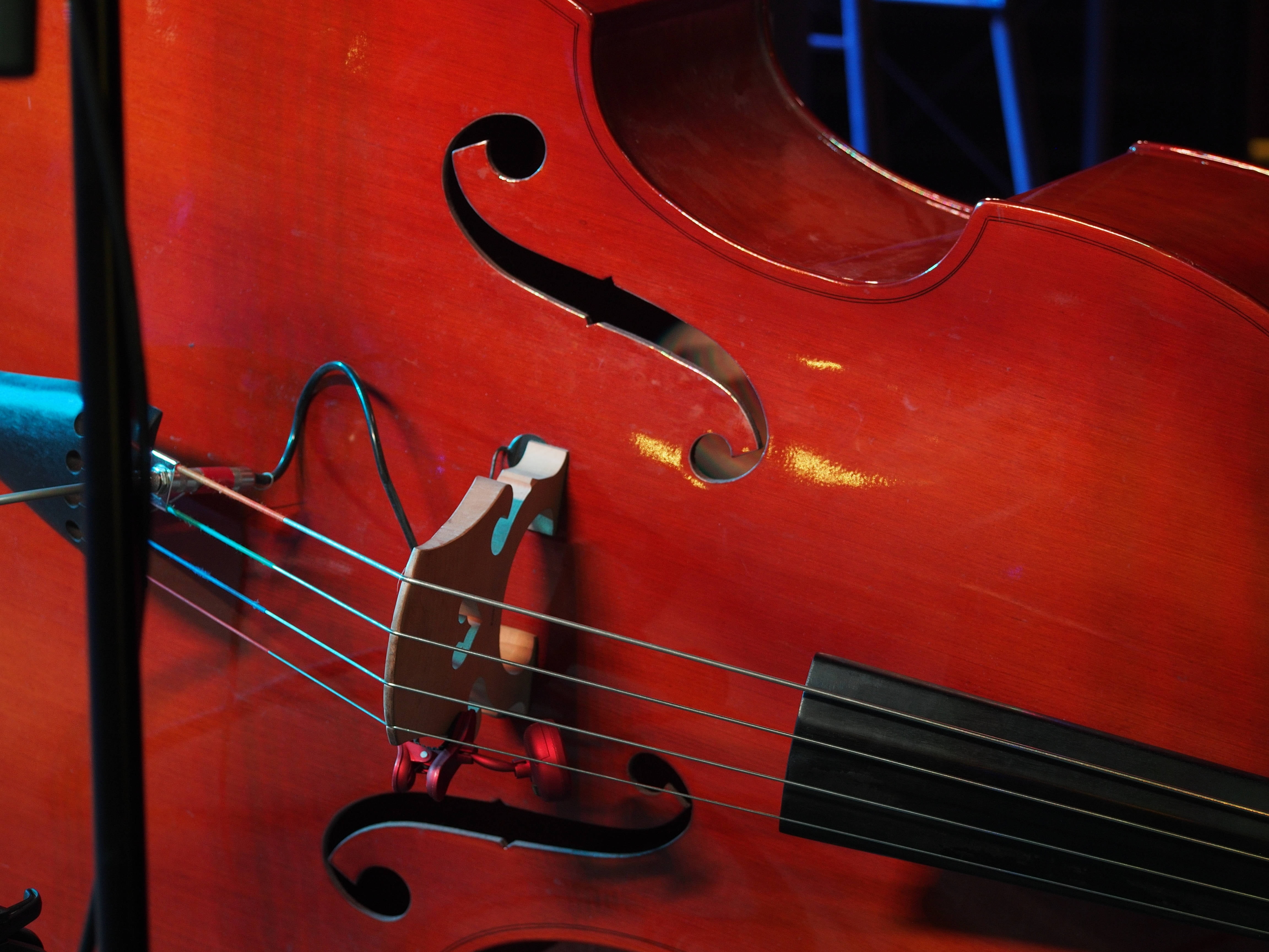 cello, string Instrument, red, string, bass, sound, pickup, classic, musical Instrument String, no people, wood, wood - Material, close-up, instrument, HD Wallpaper