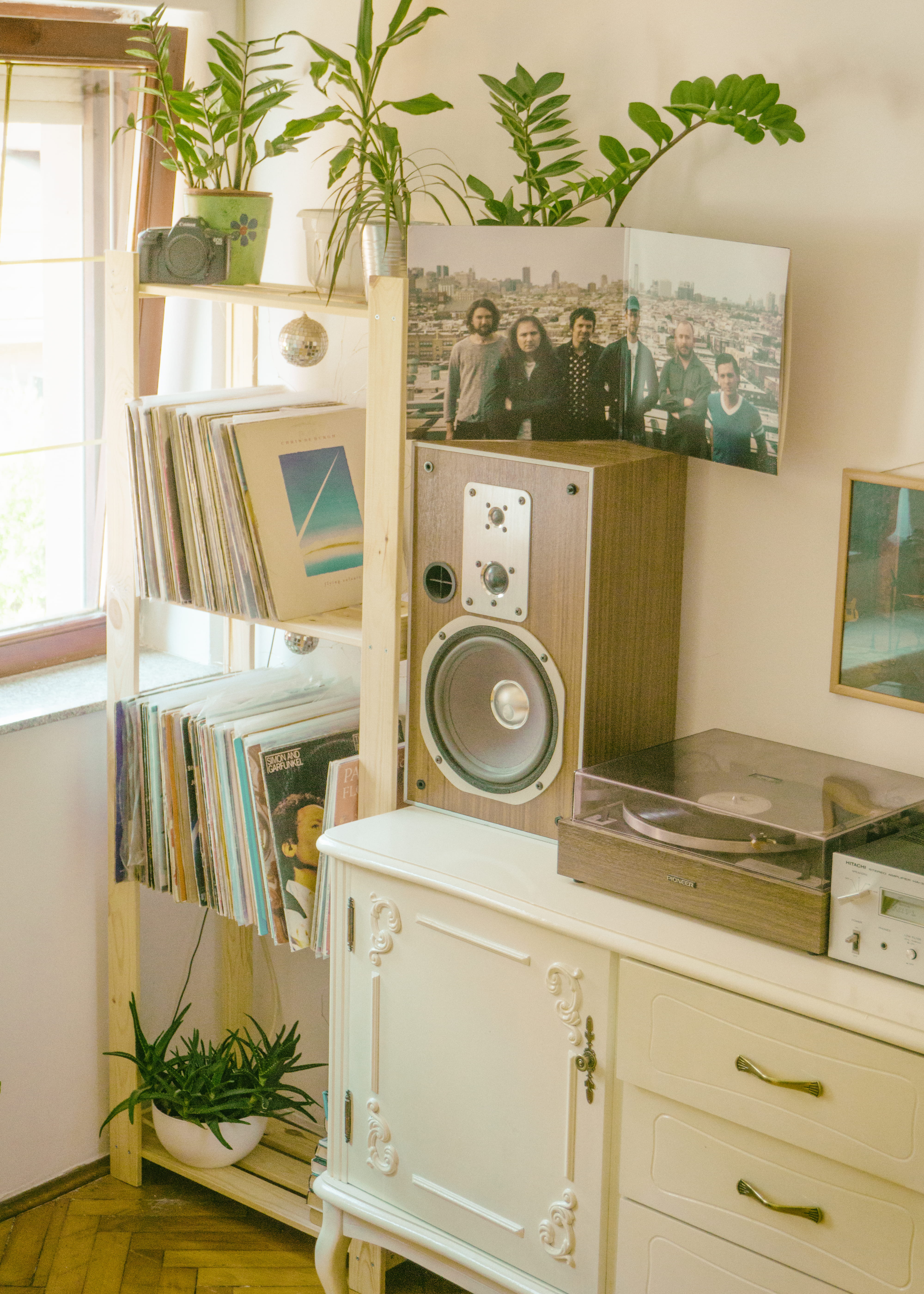 no people, shelf, vintage, appliance, home, books, arrangement, furniture, day, vinyl, room, contemporary, plants, album, indoor plants, drawer, plant, Phone HD Wallpaper