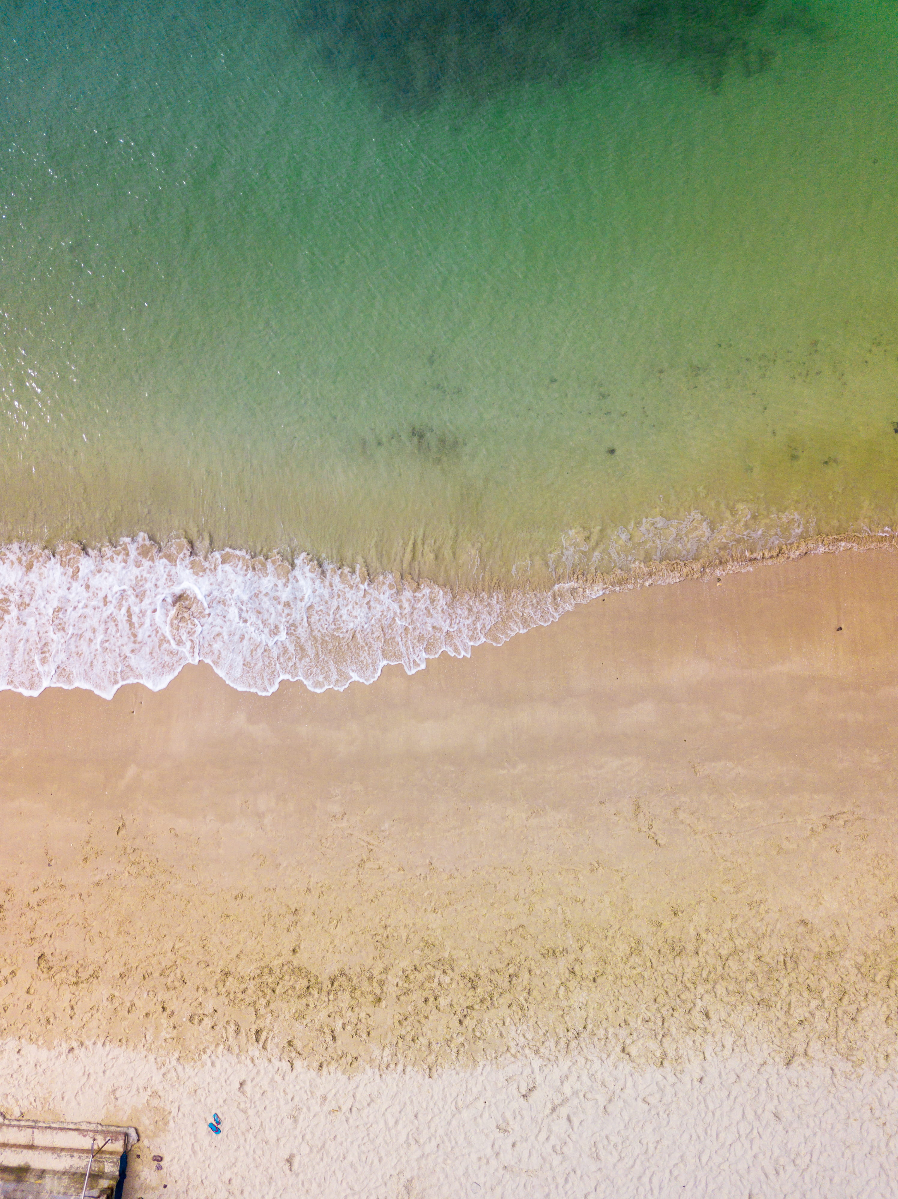 drone, green color, wave, bird, aerial, nature, sport, close-up, beauty in nature, aerial view, day, eye, from above, 4K, outdoors, seashore, scenics - nature, Phone HD Wallpaper