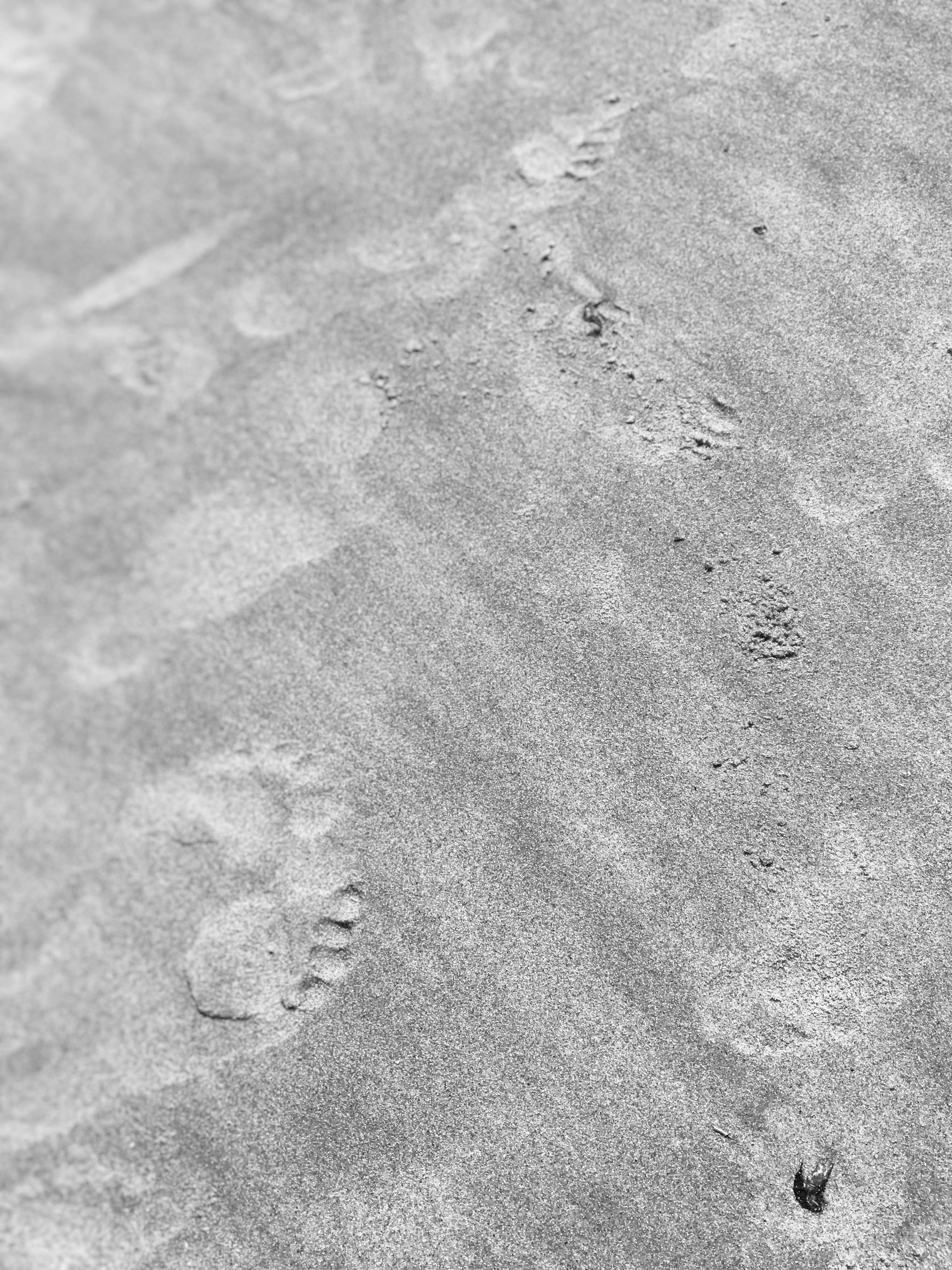 directly above, rug, day, hole, plectrum, ground, rock, animal themes, full frame, dune, heel, wall, track - imprint, 4K, backgrounds, high angle view, Phone HD Wallpaper
