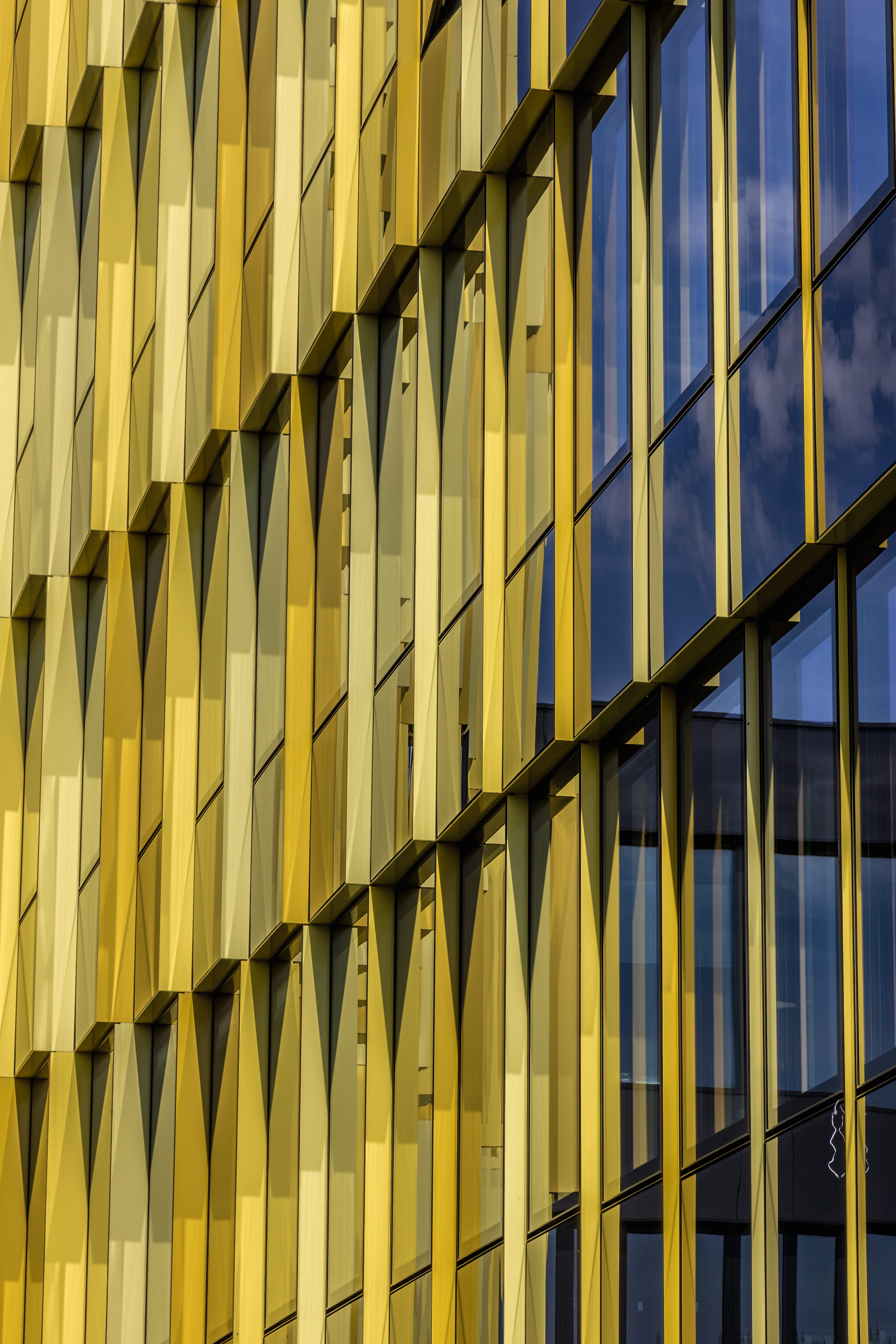 wood, hardwood, no people, animal, railing, backgrounds, building, sunlight, glass - material, repetition, office building, plywood, yellow, office building exterior, Phone HD Wallpaper