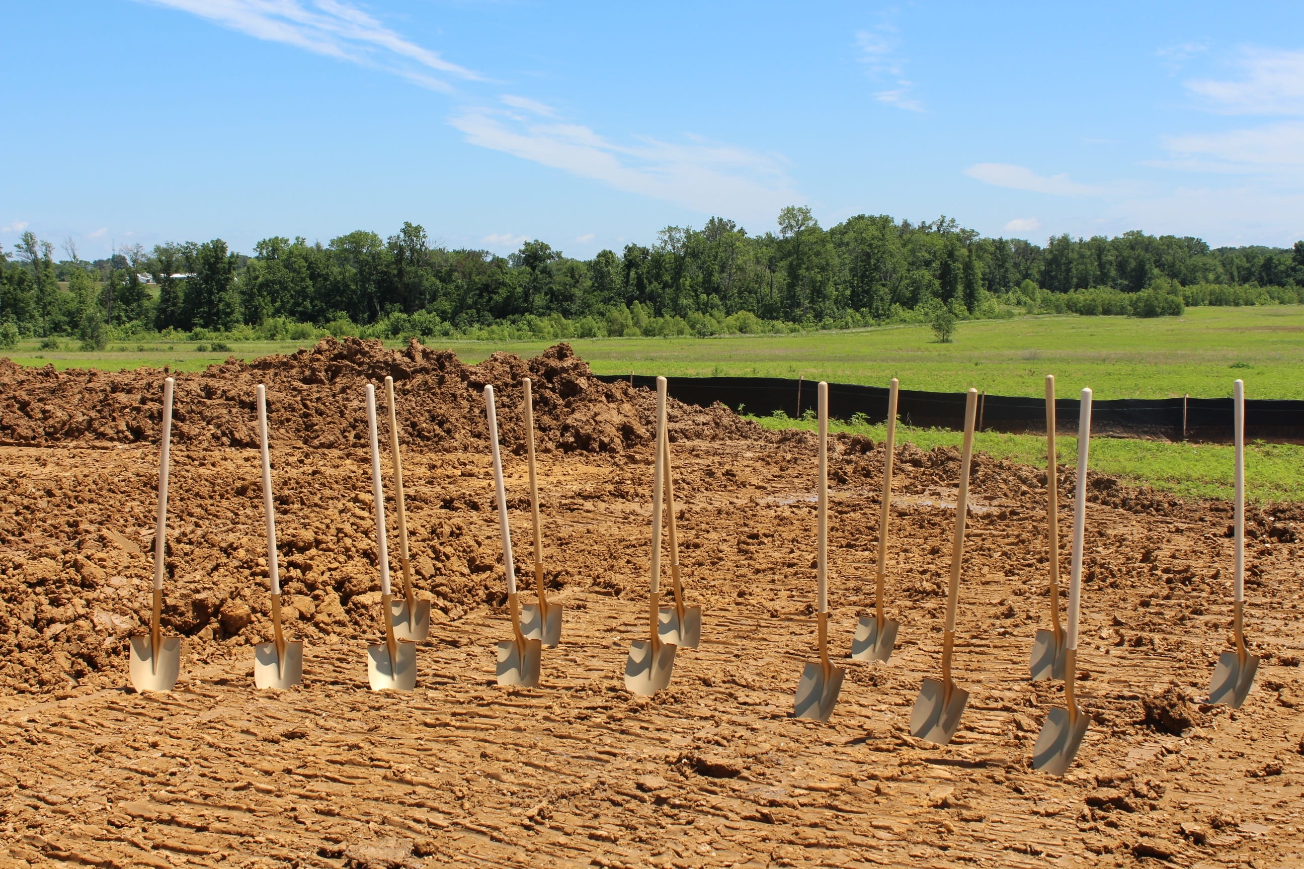 sky, sunlight, growth, field, 2K, dirt, no people, plant, outdoors, breaking, ground, groundbreaking, animal themes, land, farm, shovel, development, group of animals, HD Wallpaper