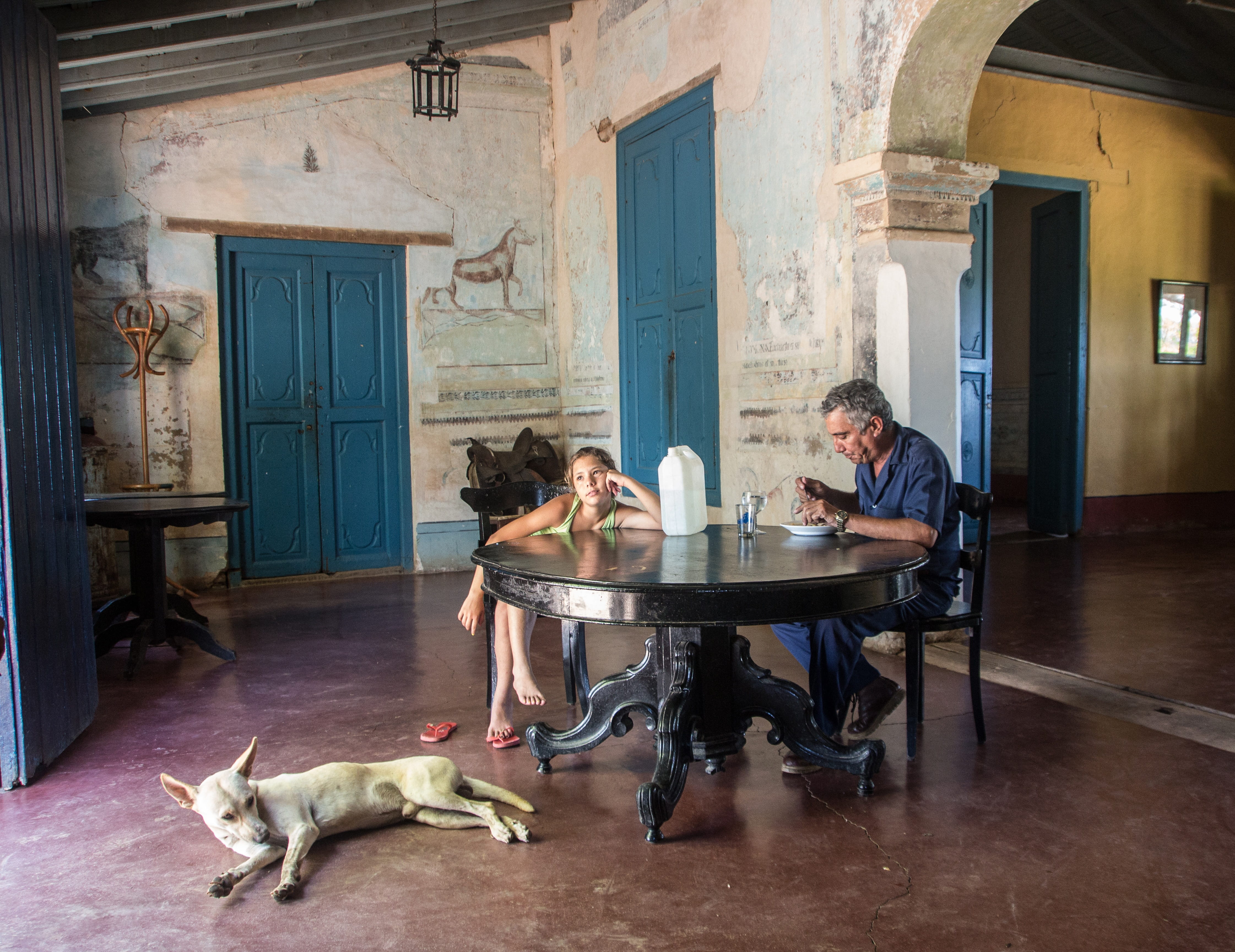4K, Tired, business, heterosexual couple, domestic animals, dog, two people, Cuba, mature men, Lunch, sitting, mature adult, canine, males, mammal, men, HD Wallpaper