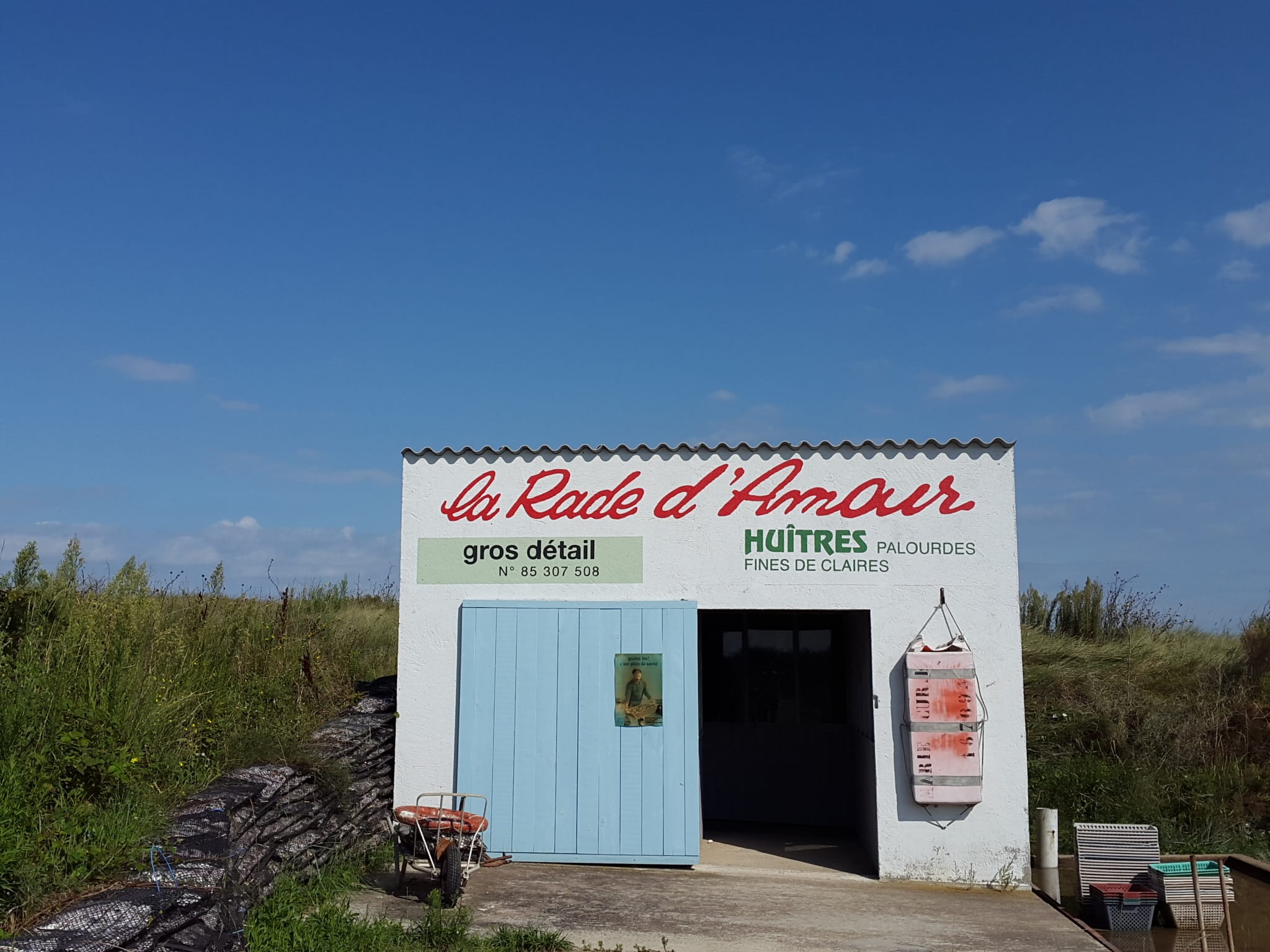 cloud - sky, Oysters, nature, plant, blue, restaurant, western script, built structure, architecture, small business, sign, text, Mussels, outdoors, communication, HD Wallpaper