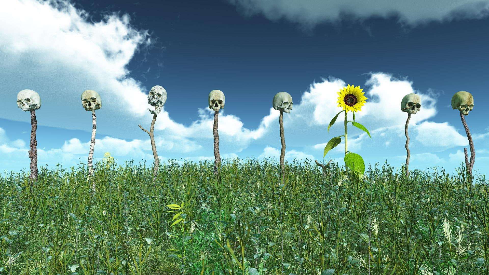 1080p, 3d, sunflowers, visual, 1080P, HD Wallpaper