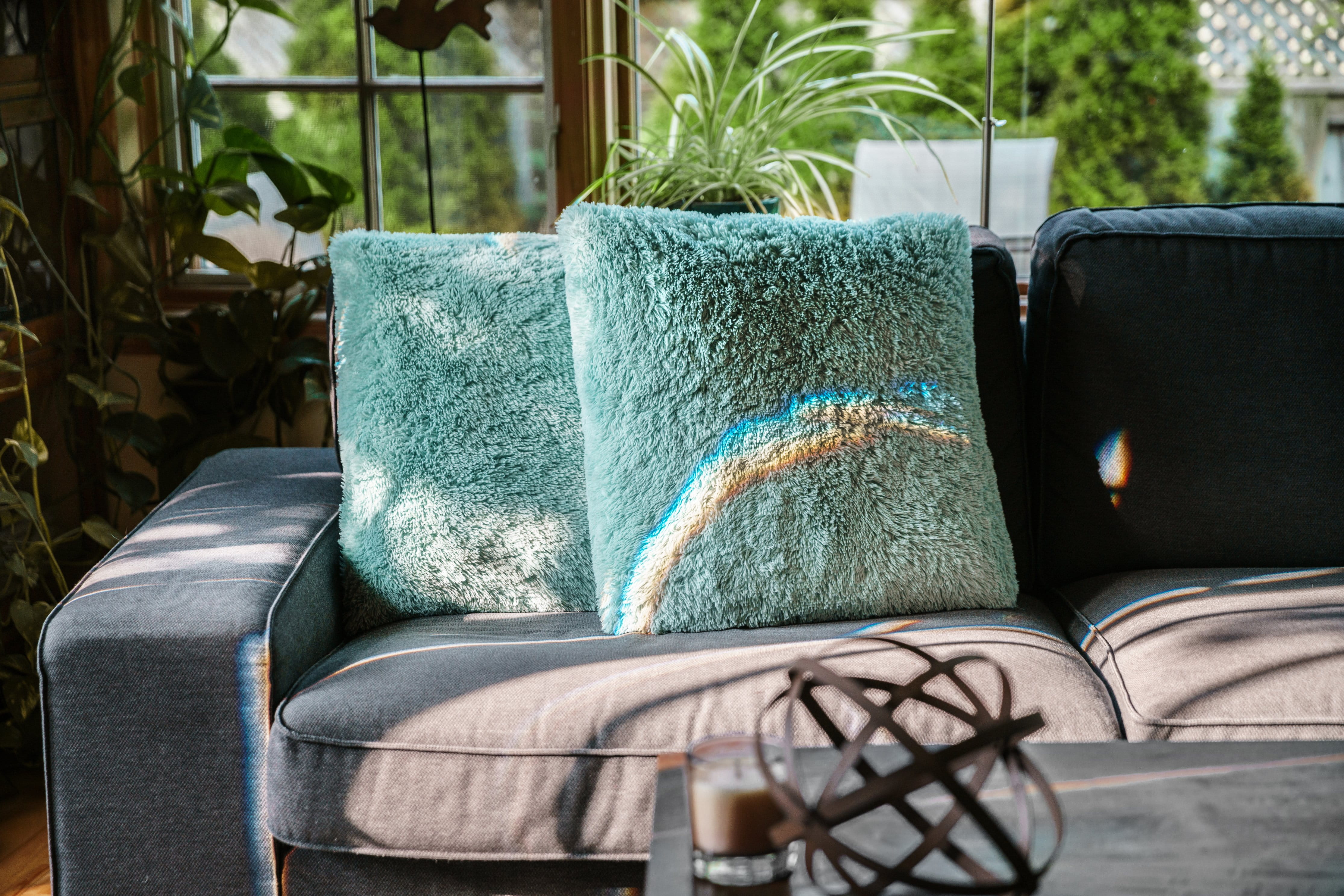 plant, outdoors, pillow, 4K, no people, sunlight, table, close-up, focus on foreground, Furniture, nature, Seasons, Home decor, Home, photo, chair, Room, HD Wallpaper