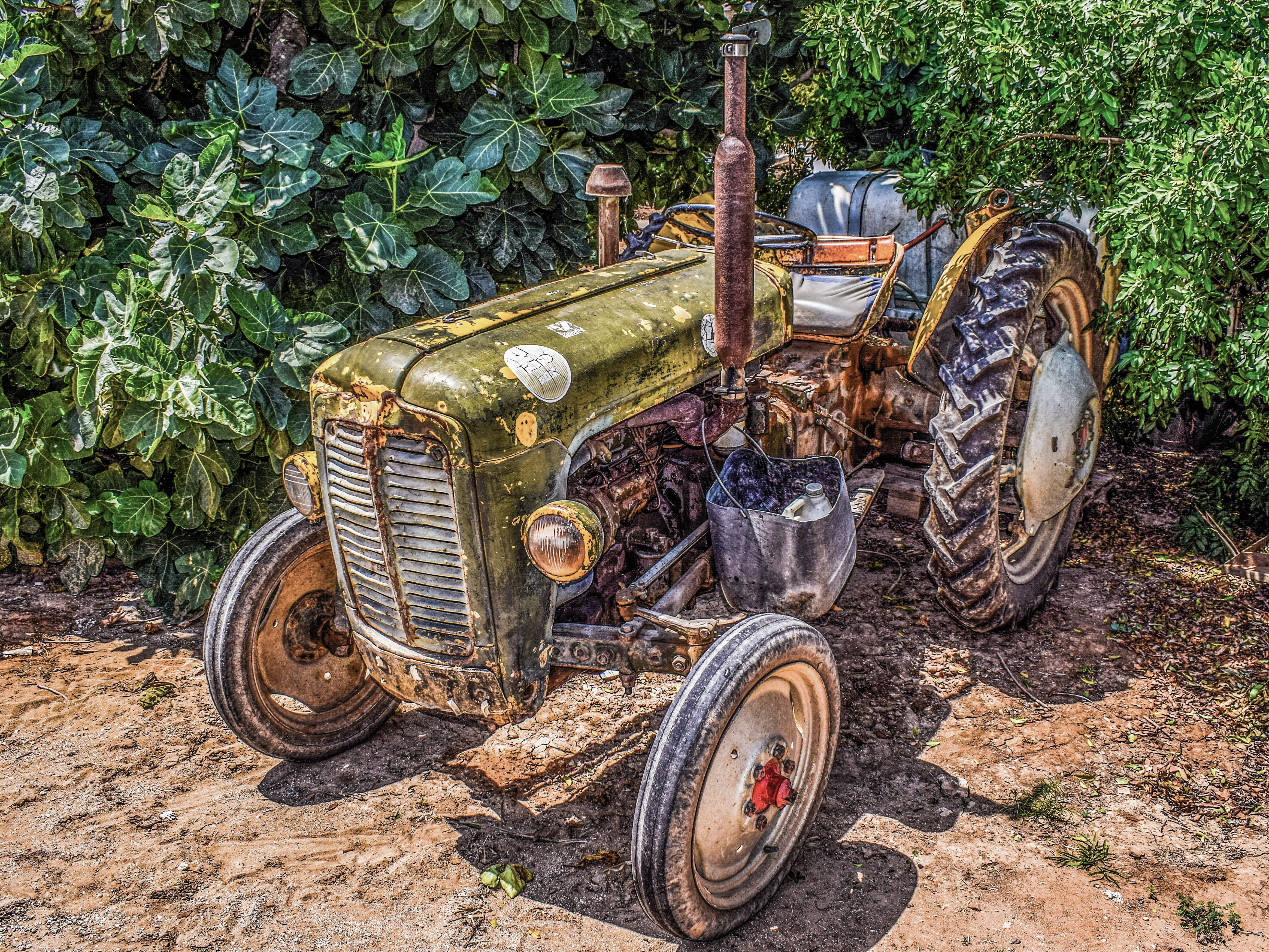retro styled, fig tree, vehicle, wheel, green, machine, antique, countryside, nature, ruined, rusted, transportation, black, land, mode of transport, tire, HD Wallpaper