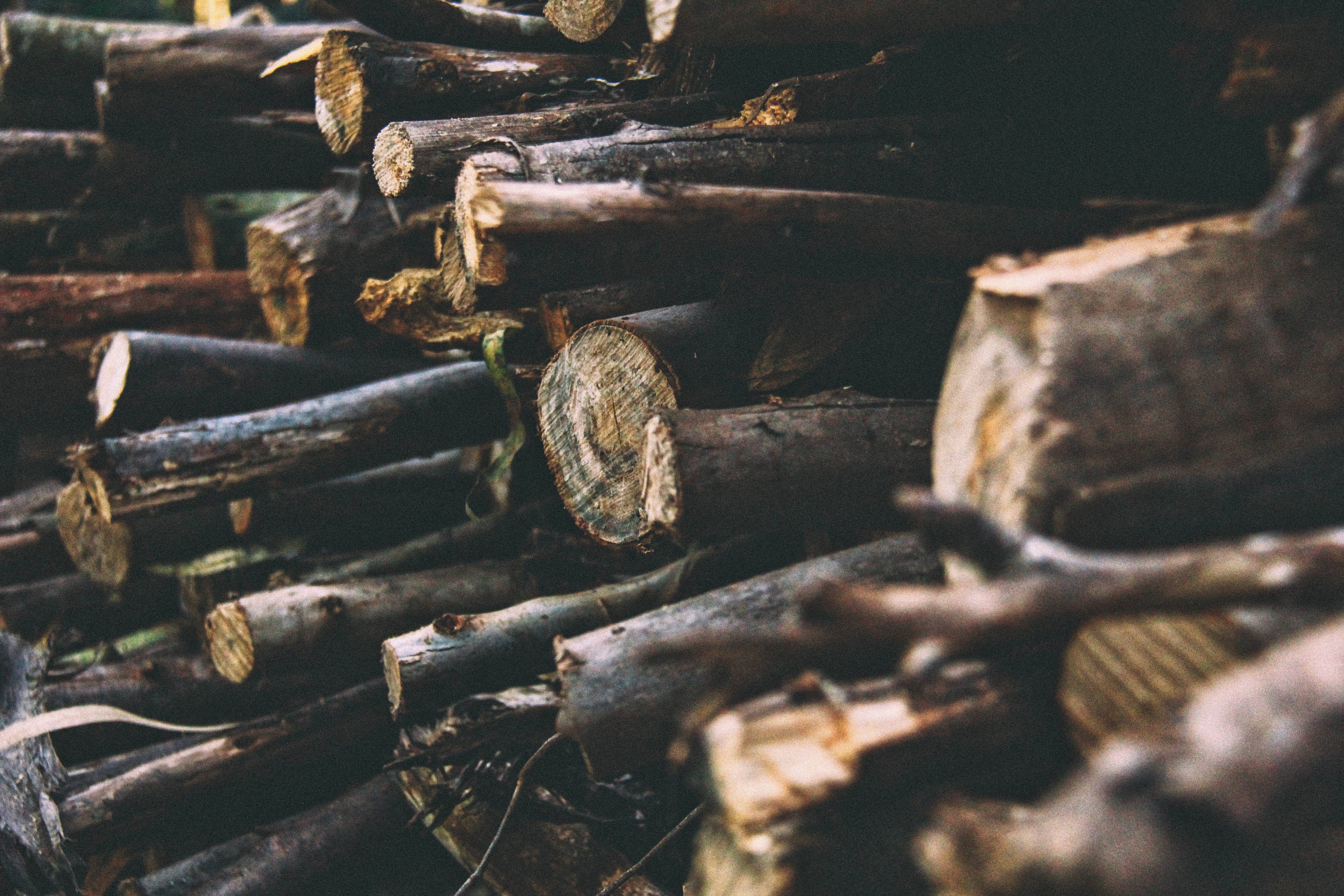 full frame, close-up, rusty, metal, logs, deterioration, forest, day, decline, no people, lumber, log, weathered, stacked, textured, tree, outdoors, selective focus, HD Wallpaper