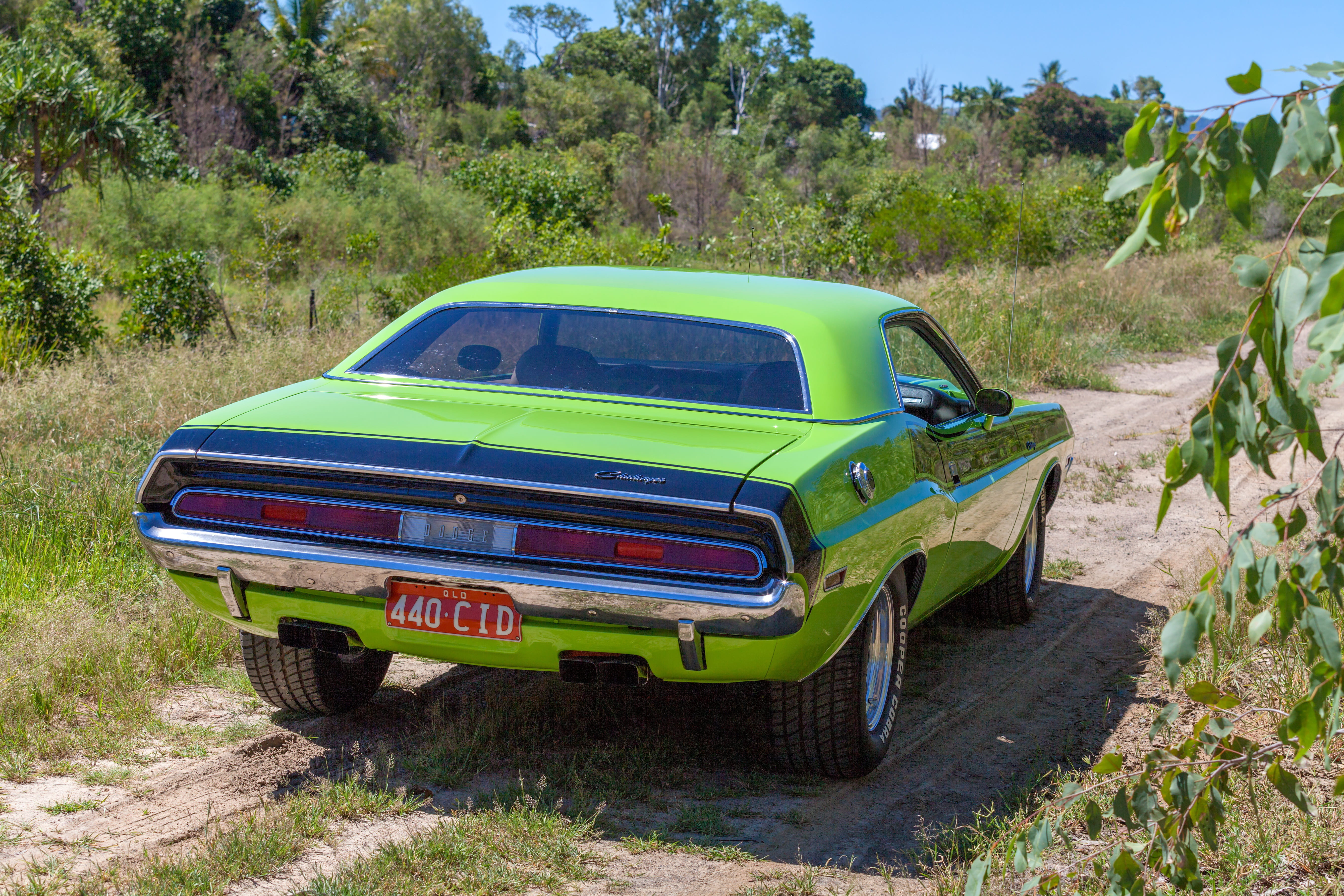 dirt road, stationary, dodge challenger, transportation, nature, green color, tree, no people, vintage car, field, transportation system, big block v8, HD Wallpaper