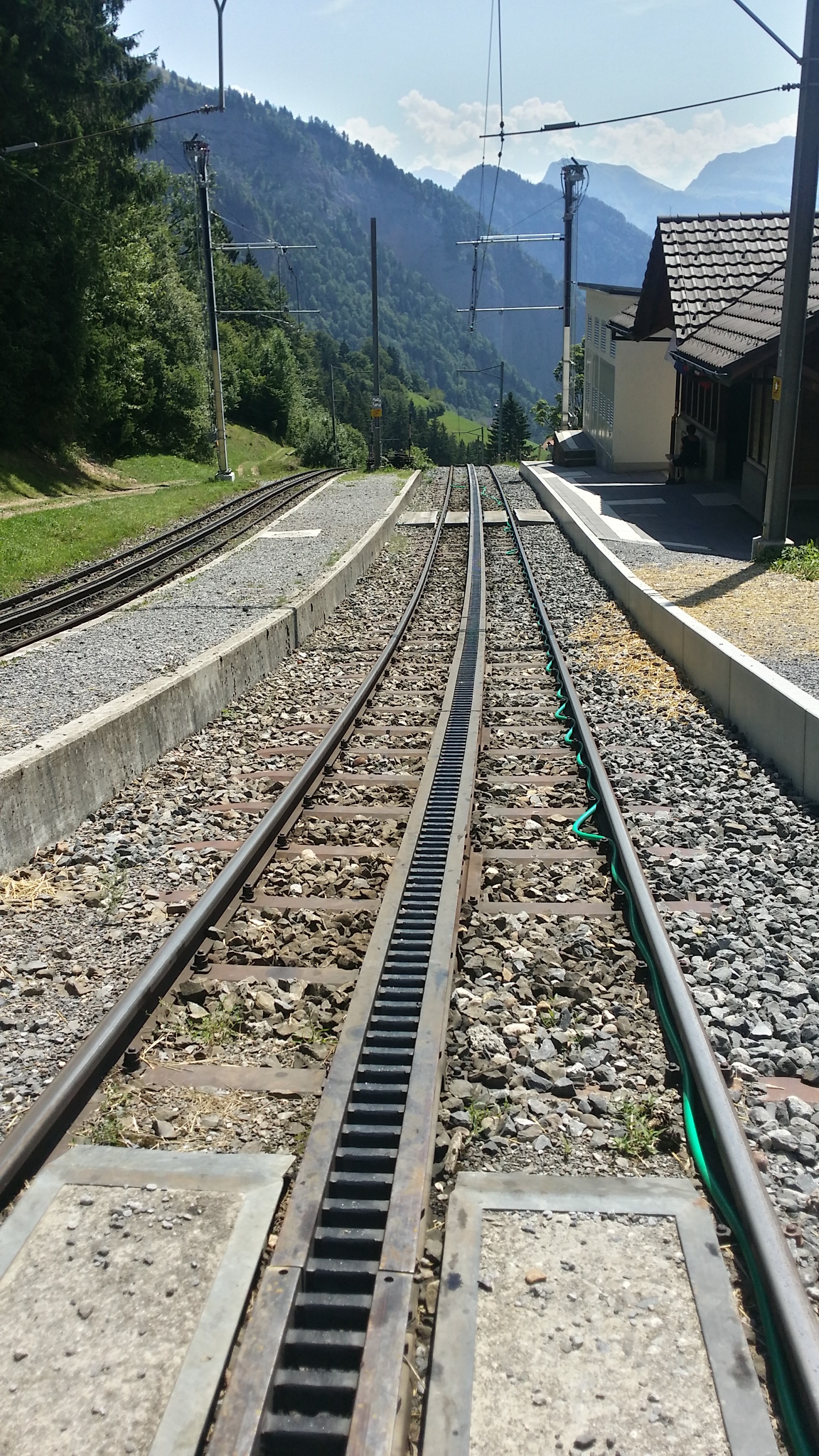 built structure, track, railway, switzerland, the way forward, alps, mountain, rail, transportation, plant, diminishing perspective, train, rack and pinion, Phone HD Wallpaper