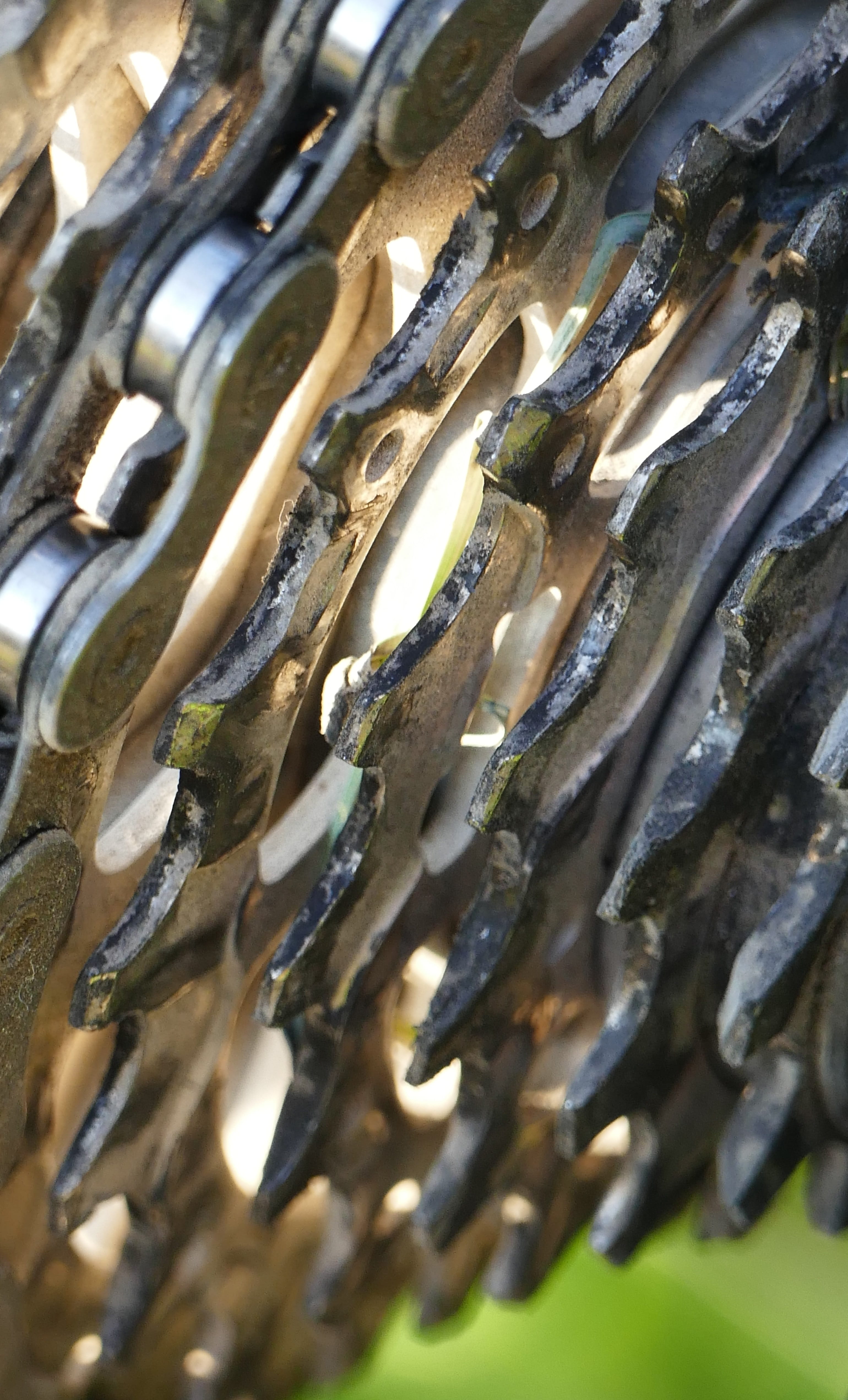 pinion gear, food, bike, full frame, no people, macro, light, animal, indoors, large group of objects, food and drink, seafood, backgrounds, chain, traffic, Phone HD Wallpaper