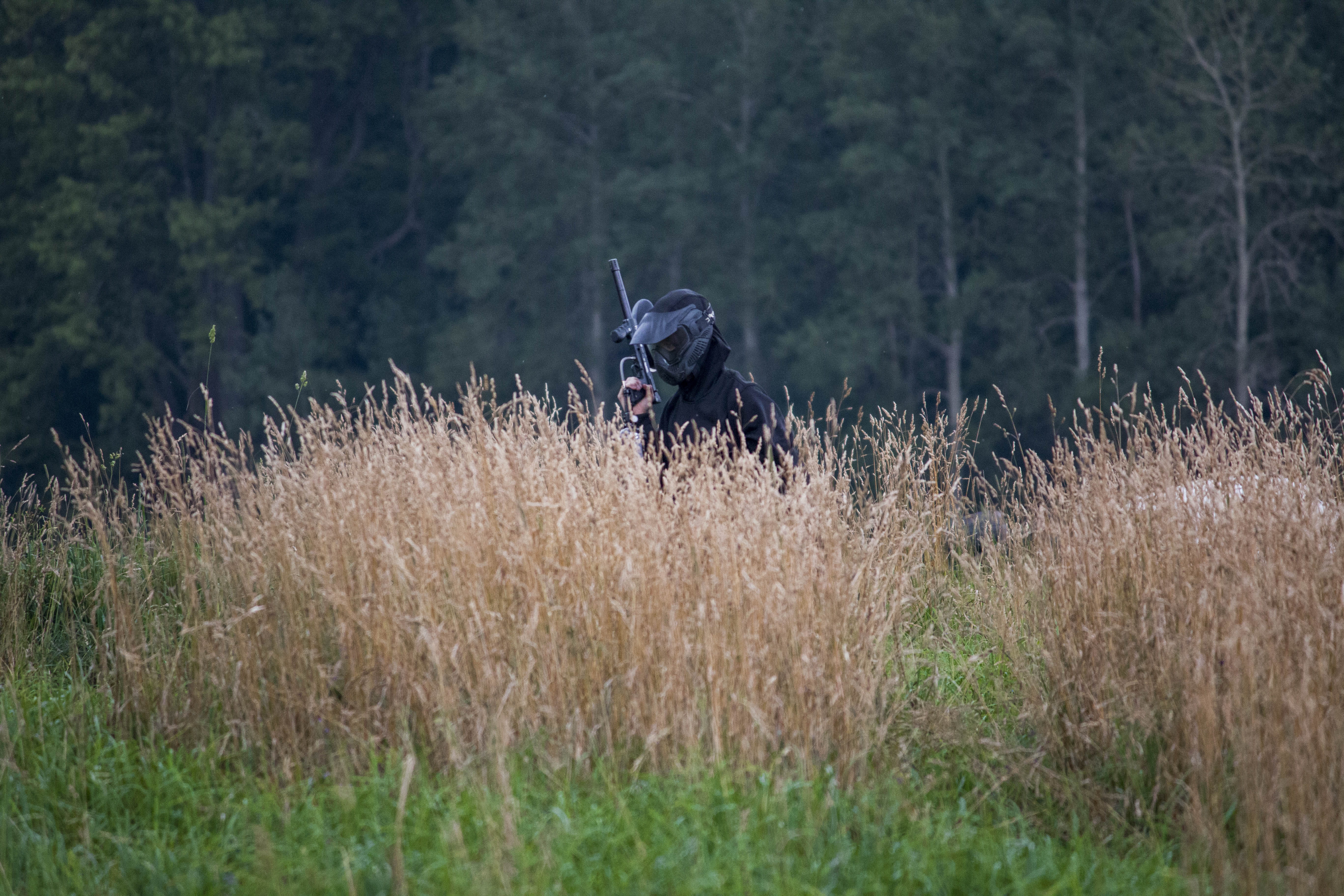 5K, outdoors, field, aggression, nature, outdoor, paintball, no people, high, animal wildlife, trees, plant, shooter, land, standing, black, top, gun, HD Wallpaper