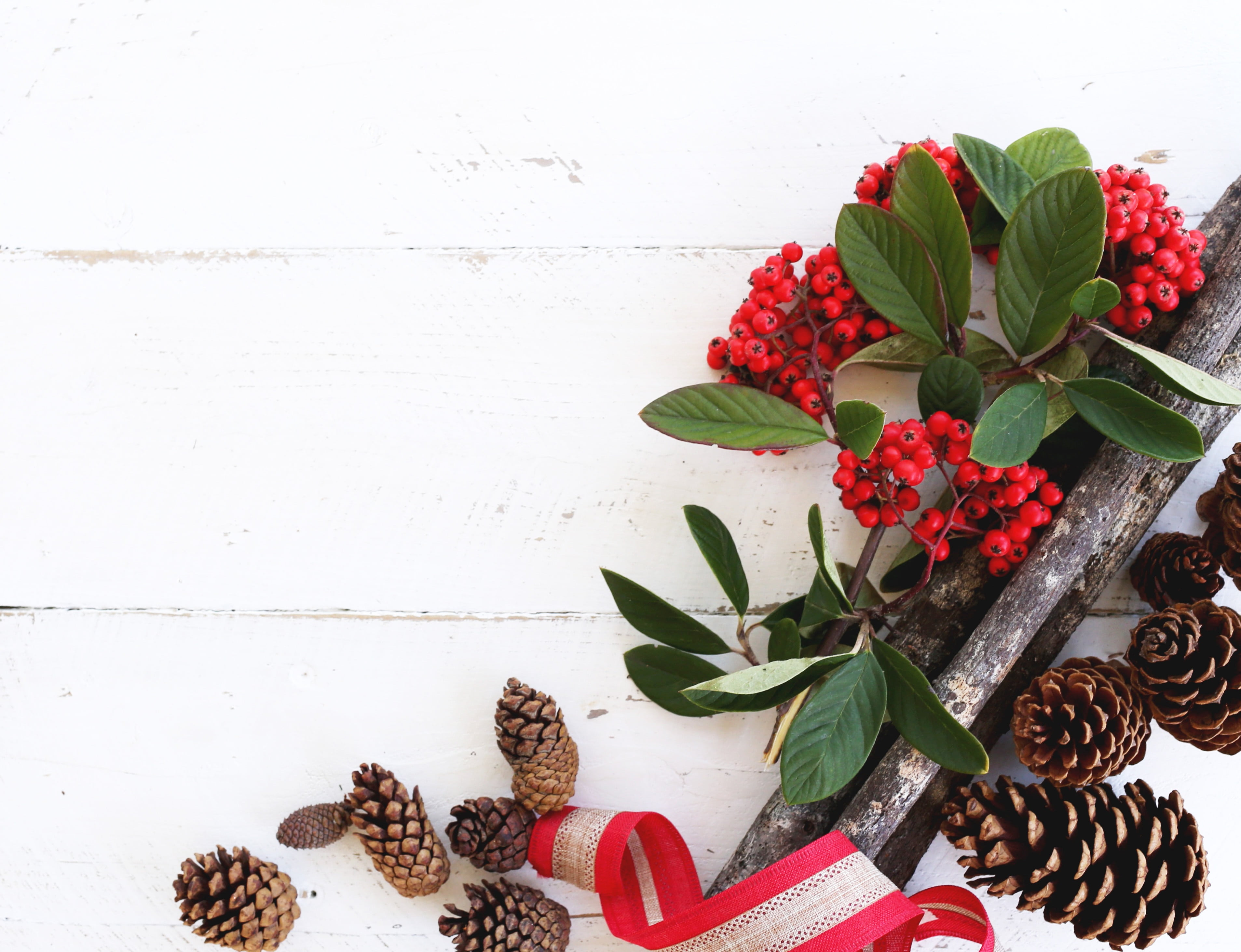 surface, holiday, desk, white wood, fragility, vulnerability, beauty in nature, festive, pine, winter, leaf, flower, holly, freshness, decoration, flatlay, HD Wallpaper