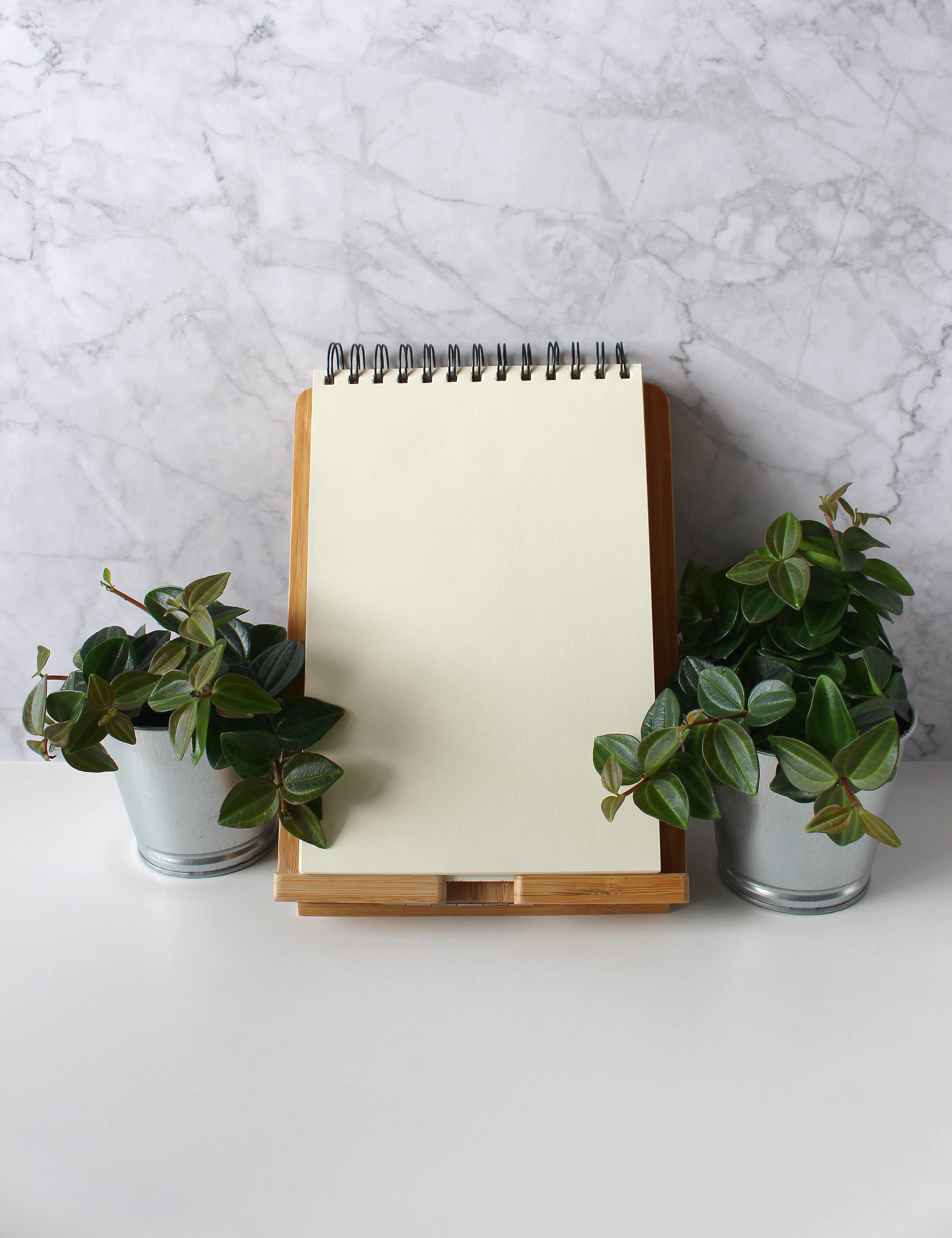decorative, publication, template, message, green color, blog, growth, leaf, copy space, white color, plant, freshness, scrapbooking, table, Phone HD Wallpaper