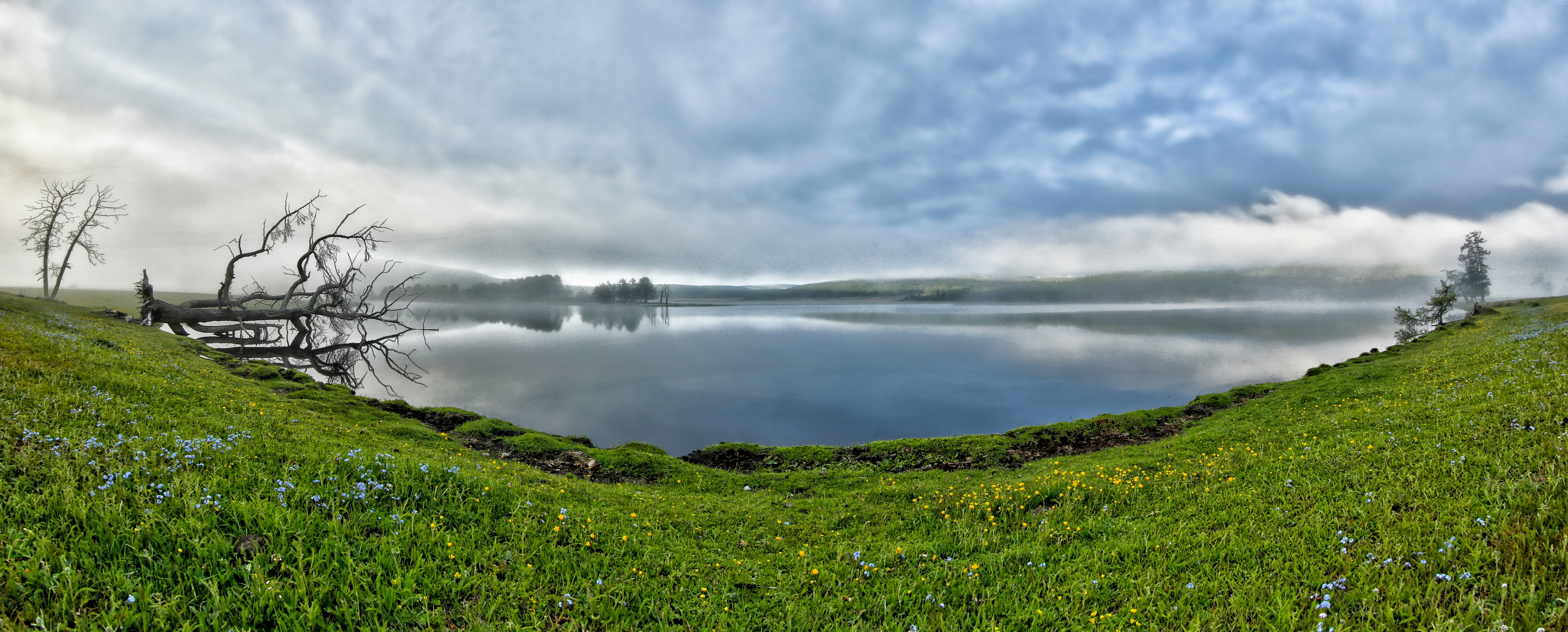 fax the lake, morning mist, plant, beauty In Nature, meadow, photography, scenics - nature, tranquil Scene, panoramic, field, nature, no People, june, rural Scene, HD Wallpaper