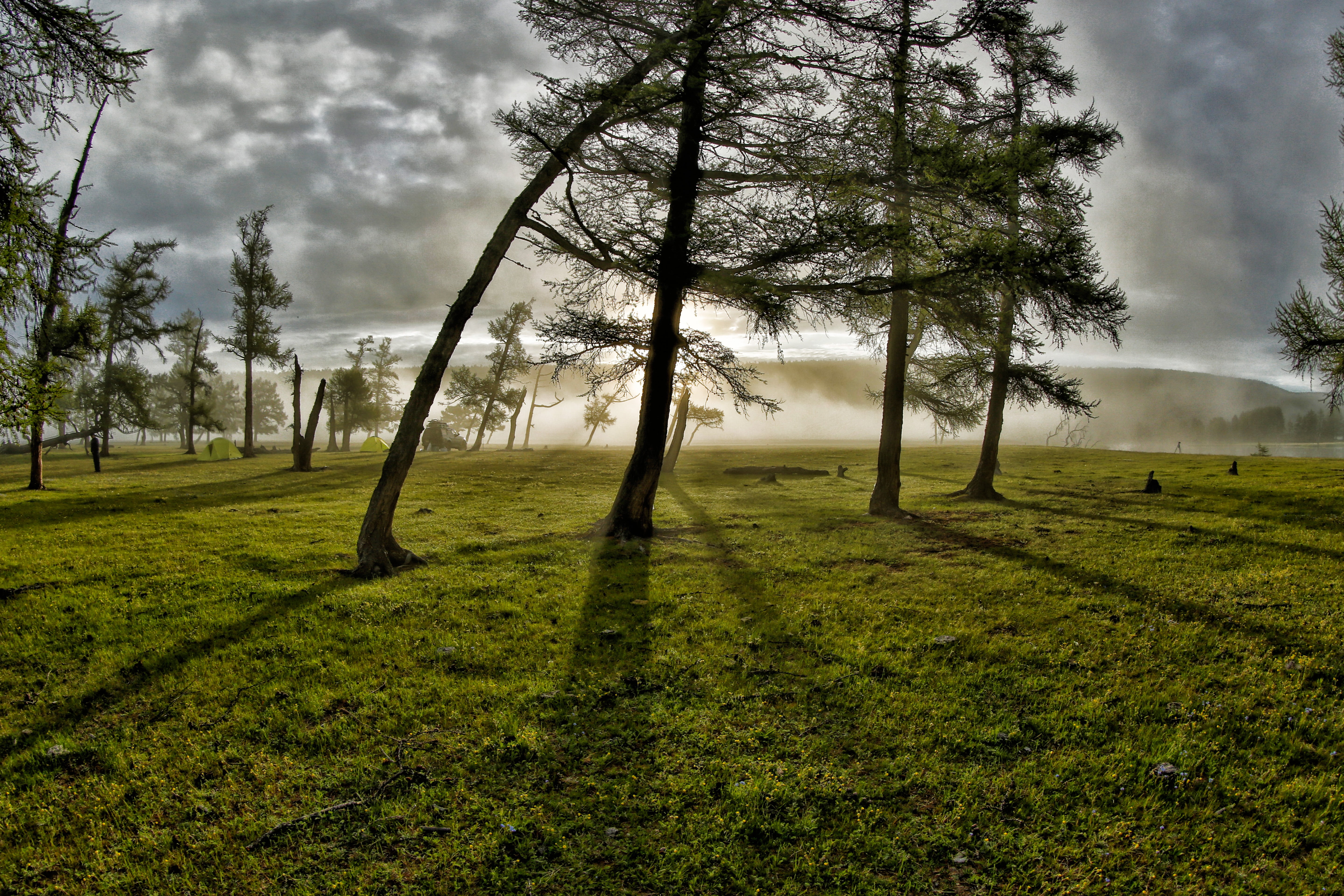 sky, morning mist, light, no people, green color, nature, non-urban scene, cloud - sky, trees, groves, tree, landscape, grass, shadow, field, environment, HD Wallpaper